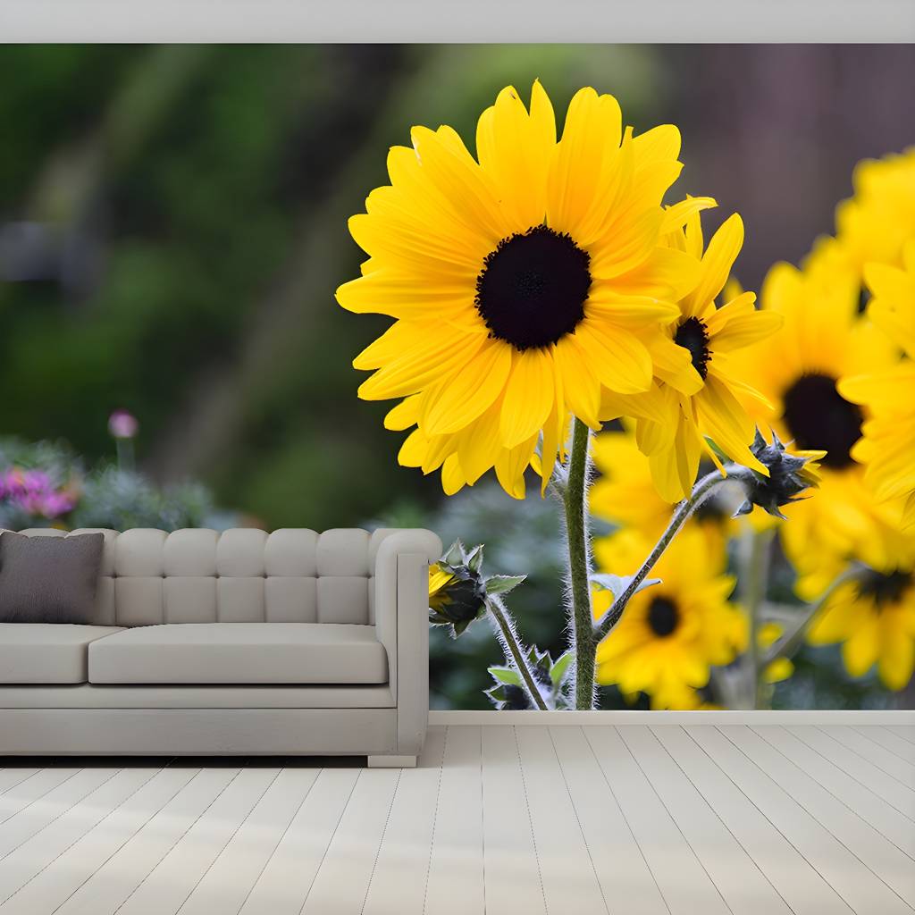 Imported image 6956711f292d 3791943.jpg