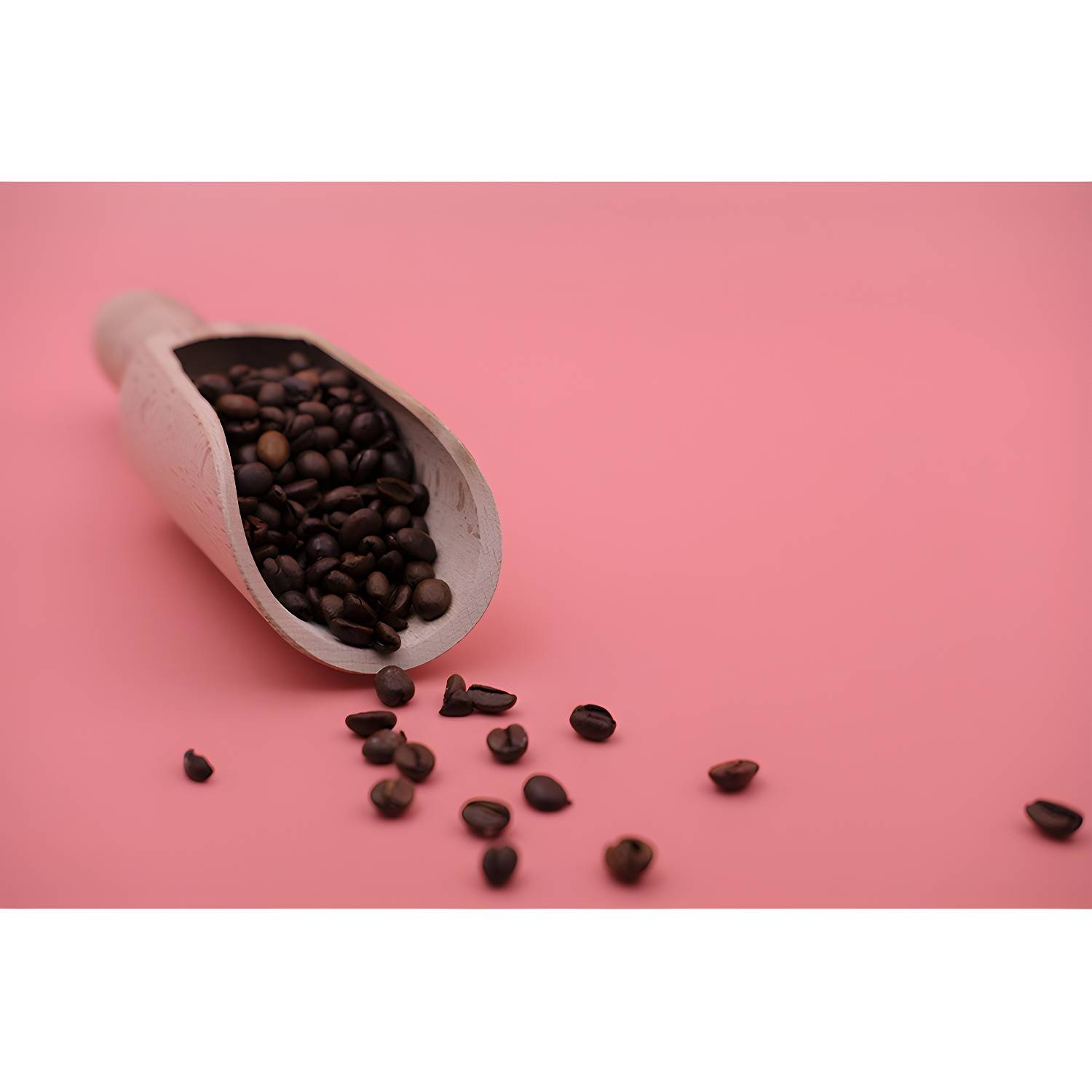Imported image db5834f8908d 3792054.jpg