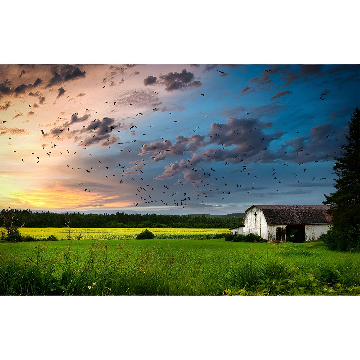 Imported image 5ca6f07542ae 3793090.jpg