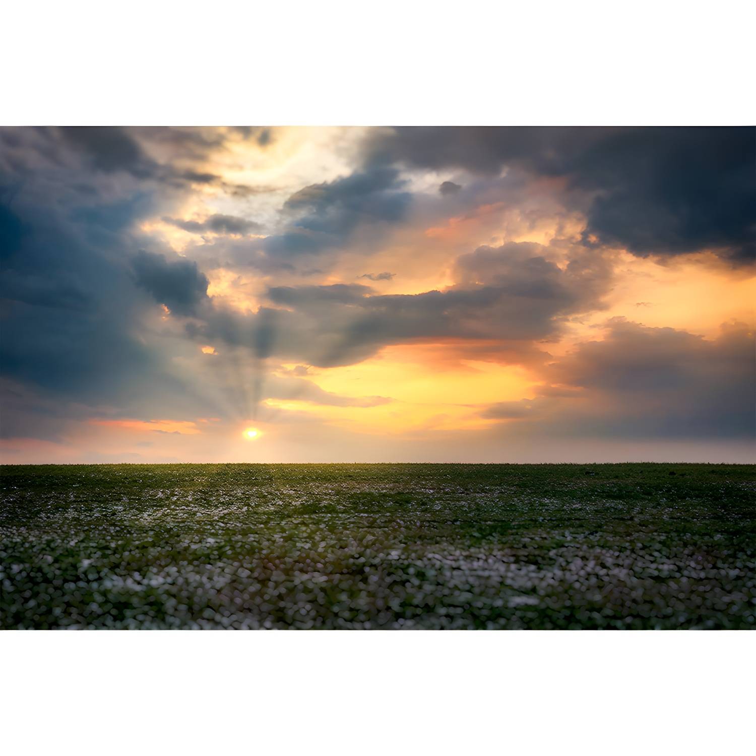 Imported image 2eba8c6d86d5 3793162.jpg