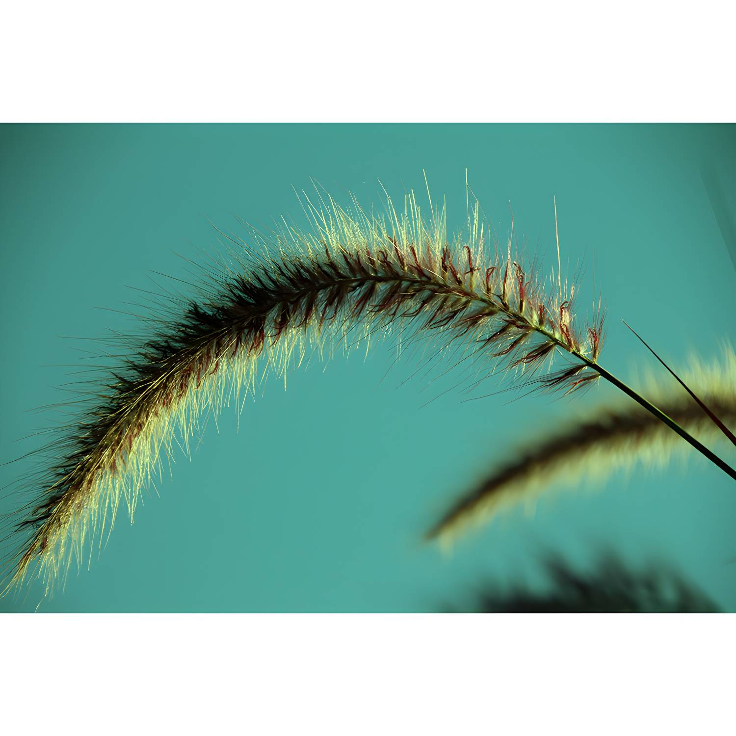 Imported image 76f4da6d95e7 3793436.jpg