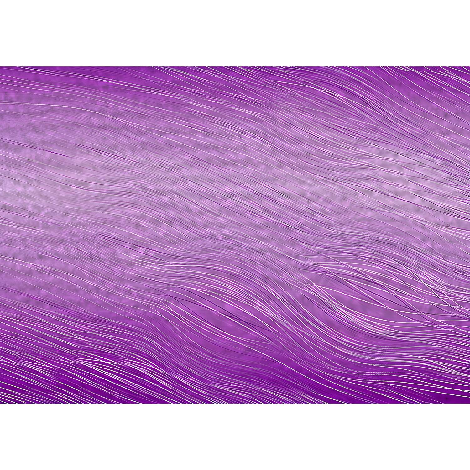 Imported image 497ba3dc56c2 3793566.jpg