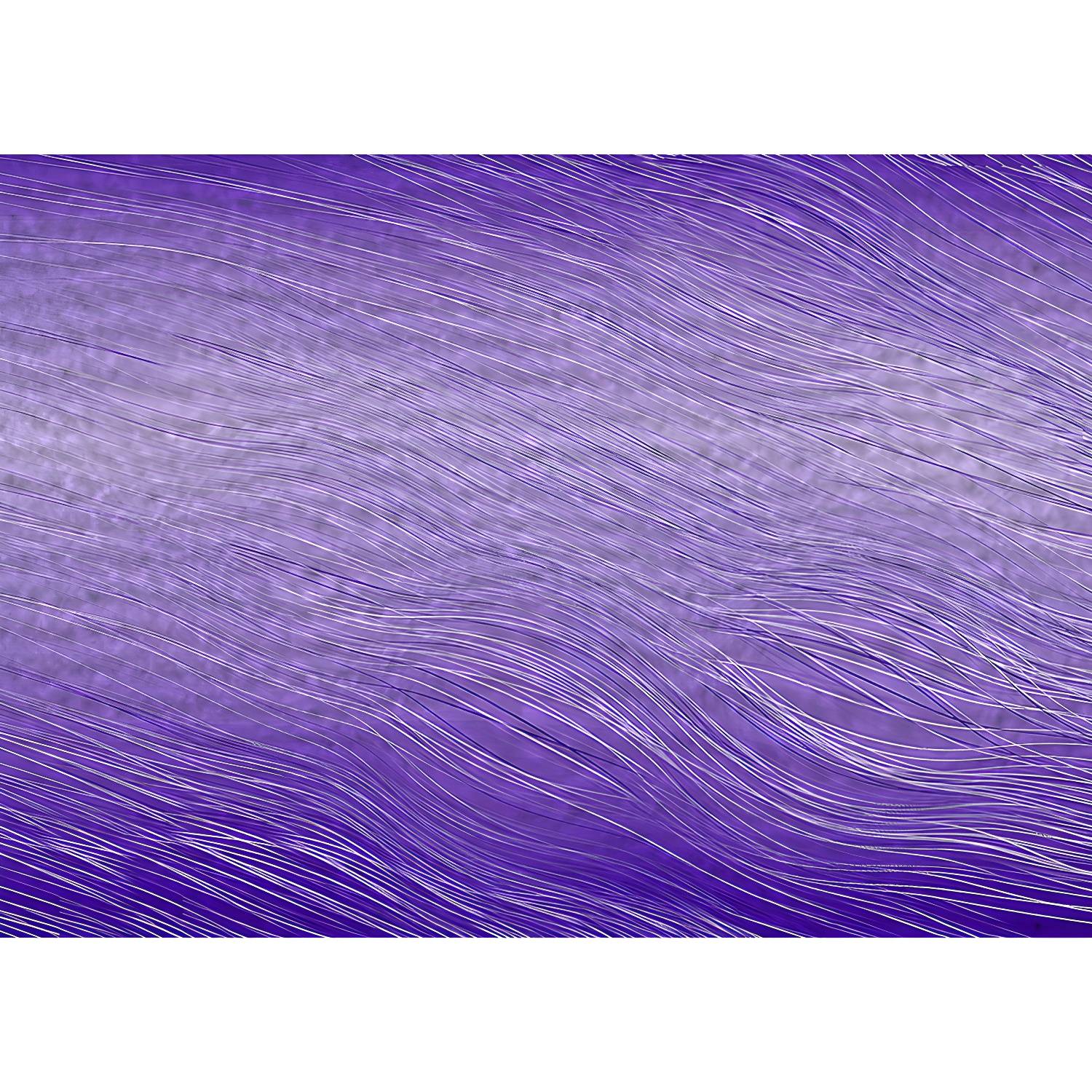 Imported image eb750464098c 3793572.jpg