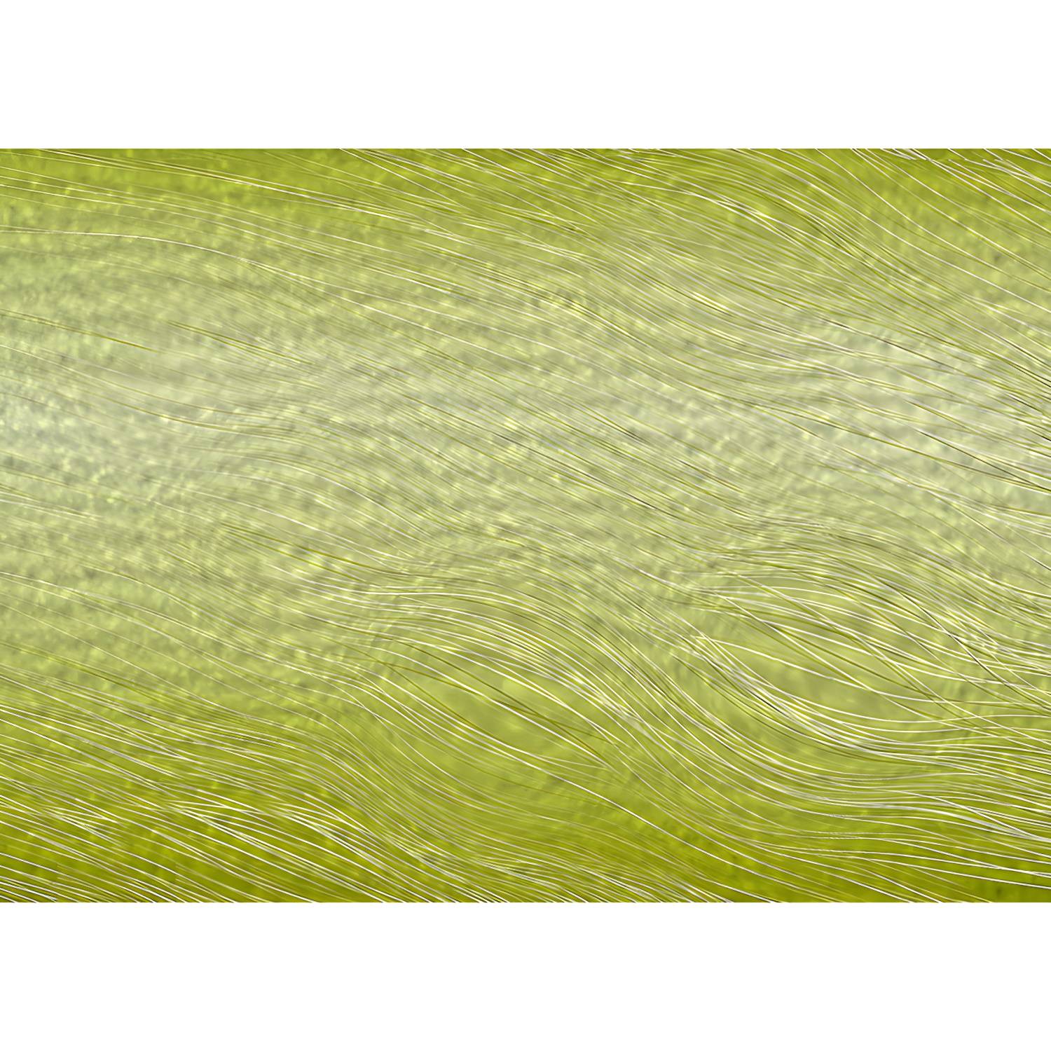Imported image cc92b3c62410 3793580.jpg