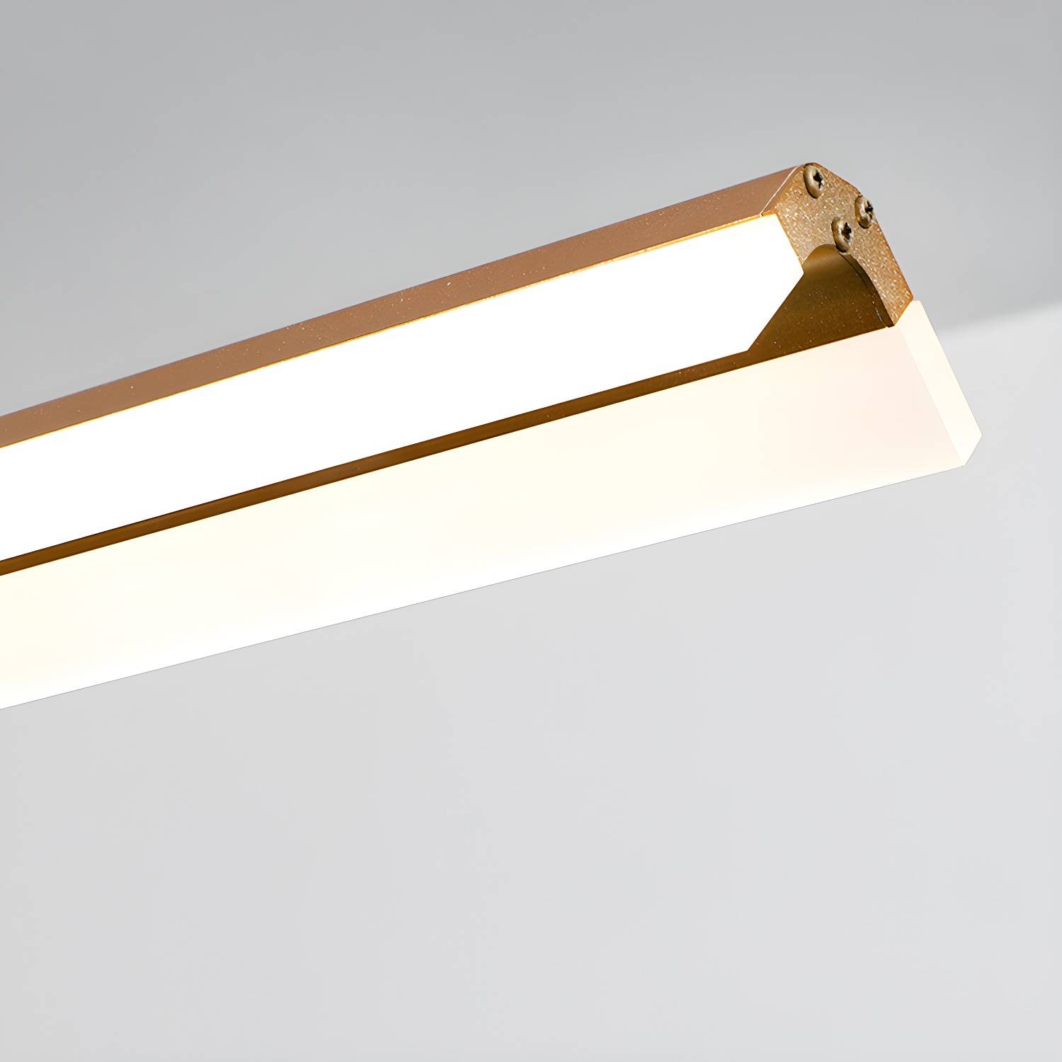 Imported image f9e5e2bed0ba 3809652.jpg