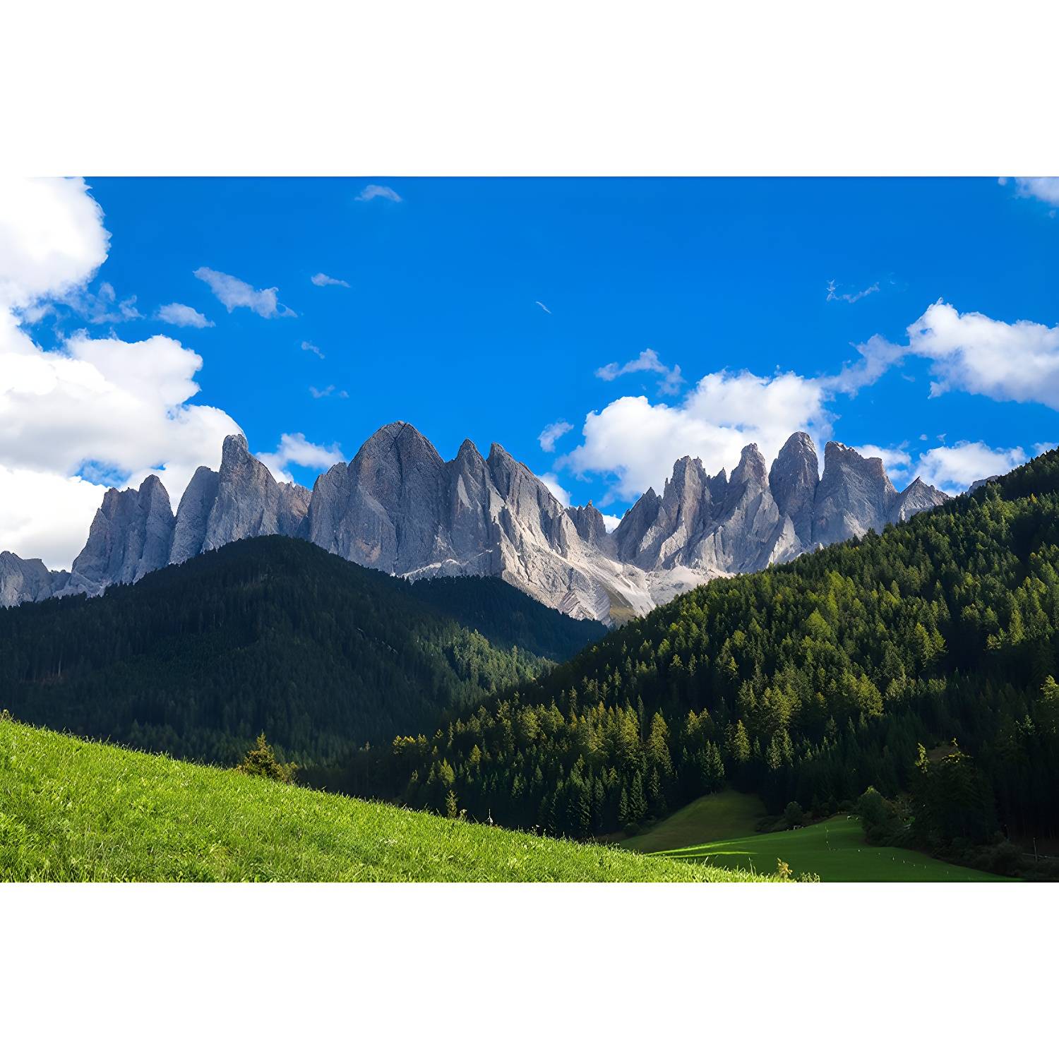 Imported image c7a79244793e 3823149.jpg