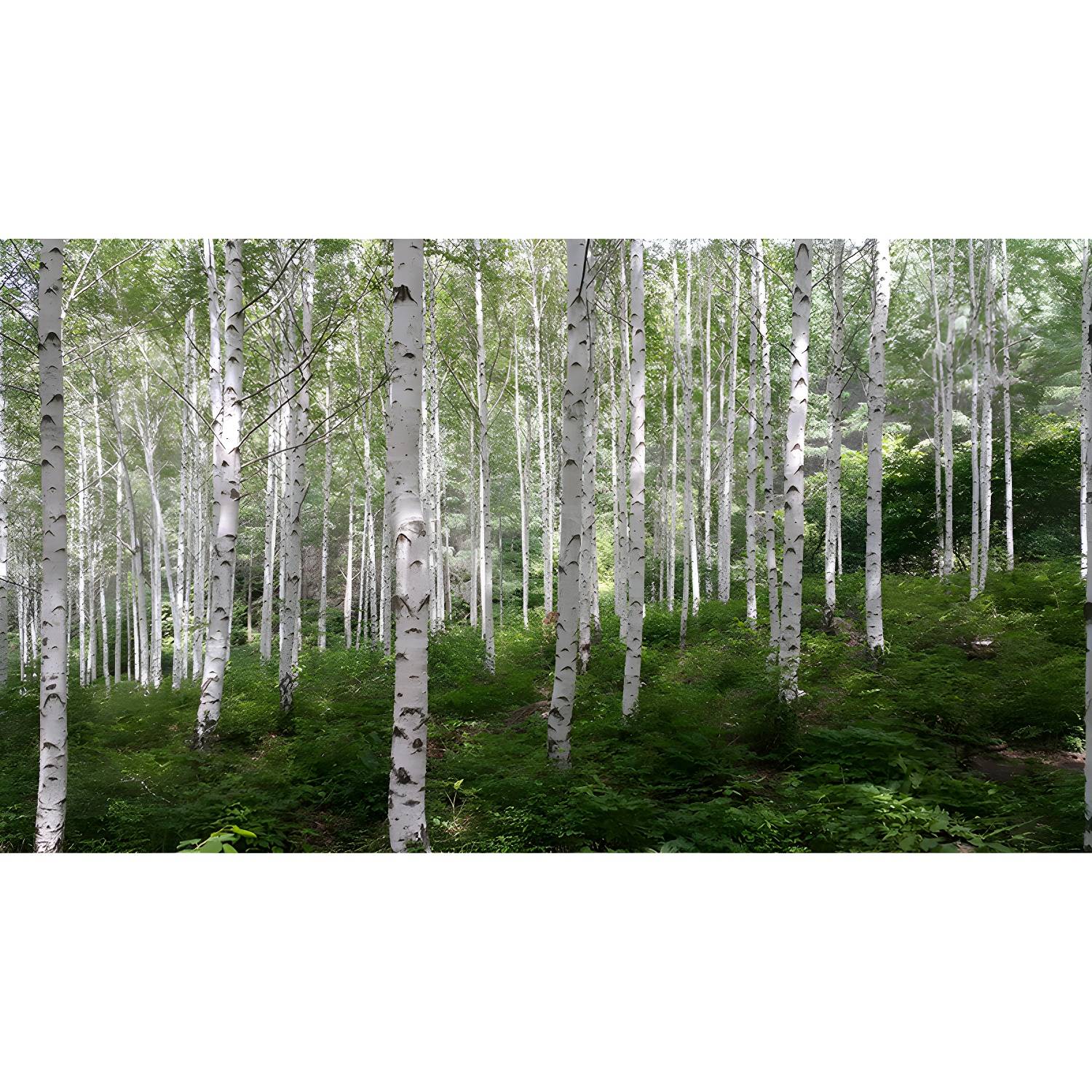 Imported image 7d3042452b14 3823293.jpg