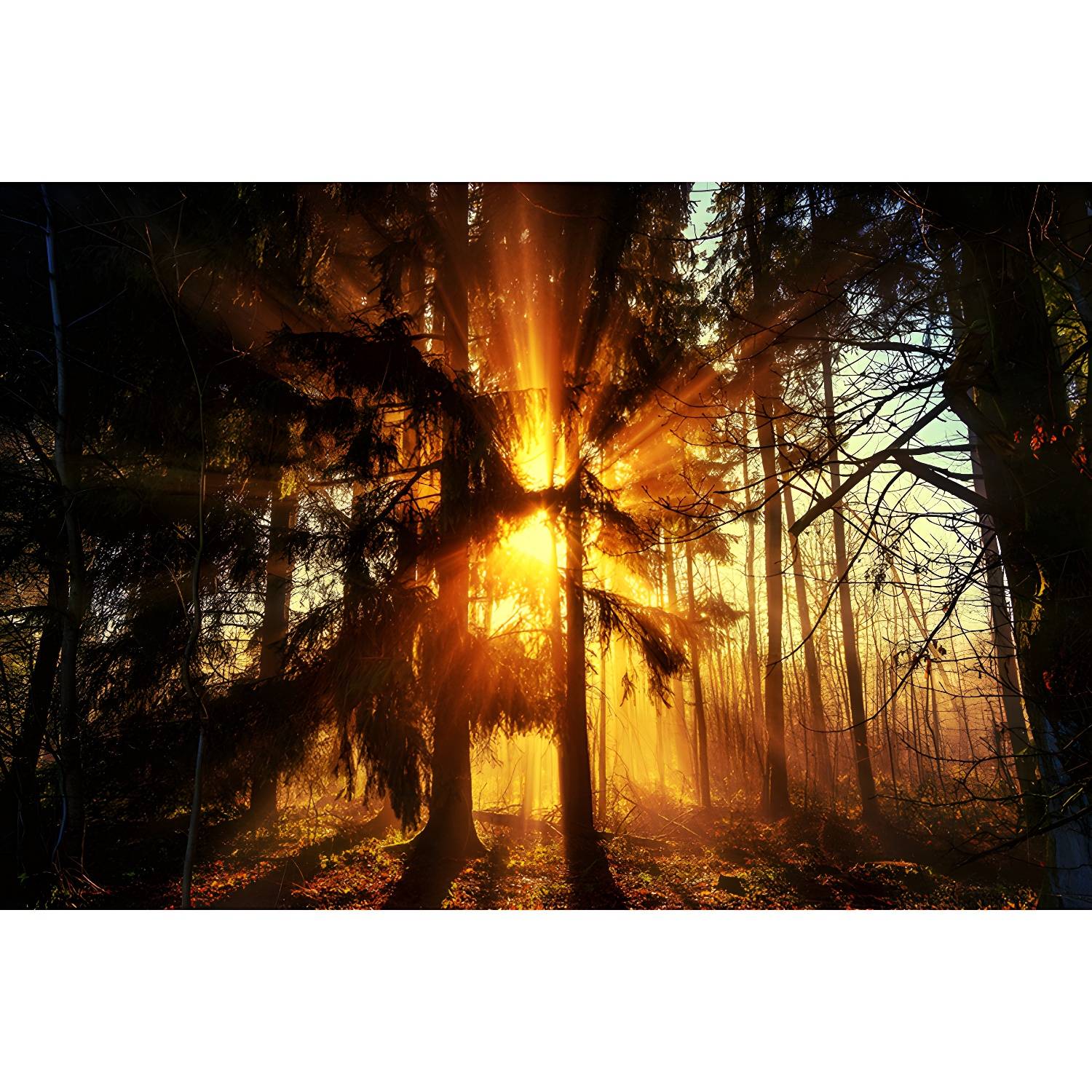 Imported image 3ca8e2adf621 3823379.jpg