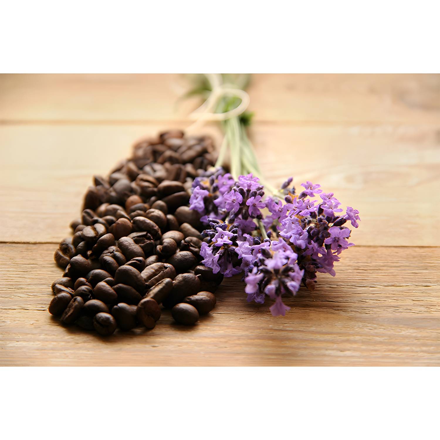 Imported image 4e5117ac7ac9 3824167.jpg