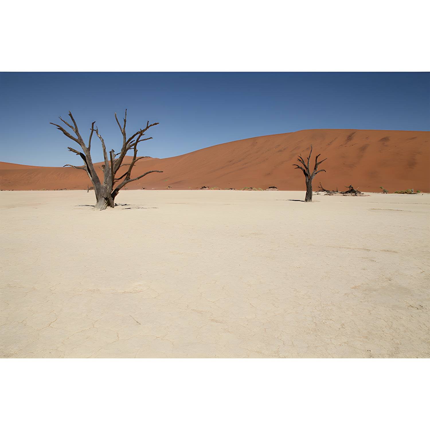 Imported image a80df1fcf5cf 3824451.jpg