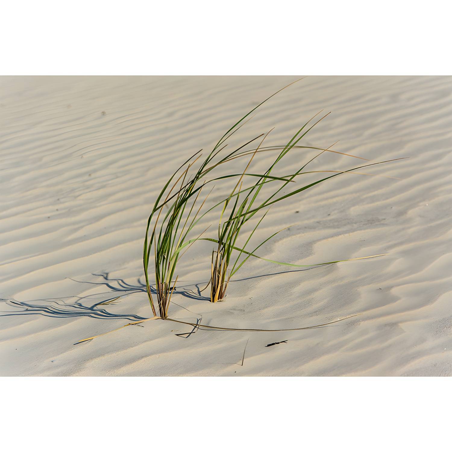 Imported image adf9e8ca4671 3824477.jpg