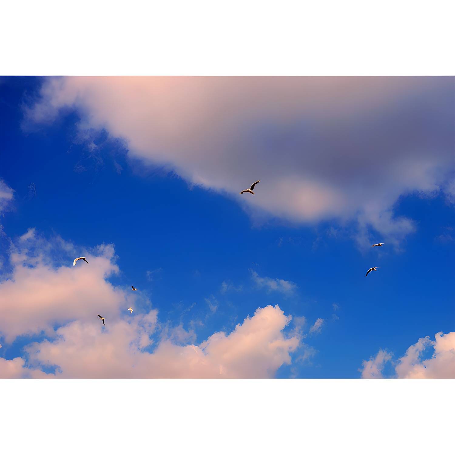 Imported image ac8f9ce7e13c 3824559.jpg