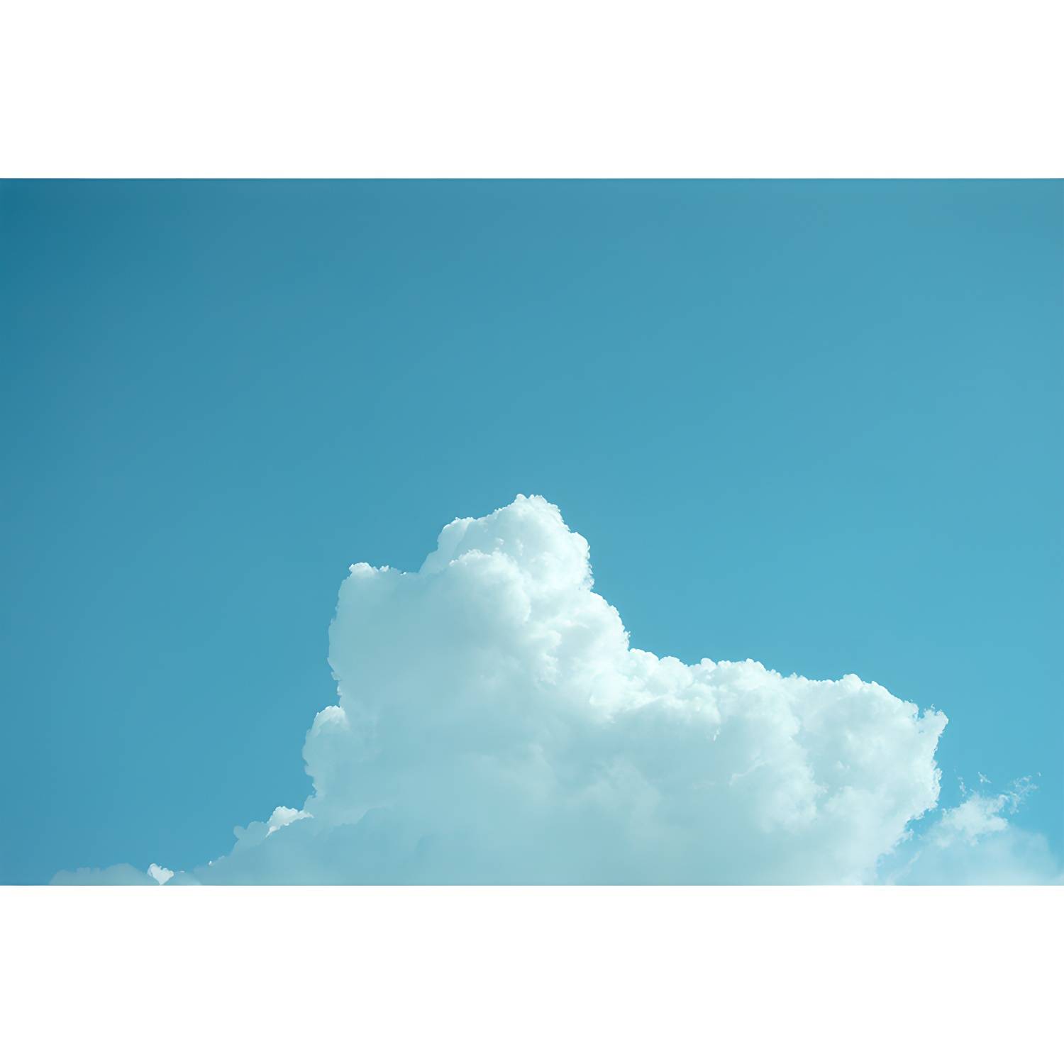 Imported image 45c79a7fd217 3824567.jpg