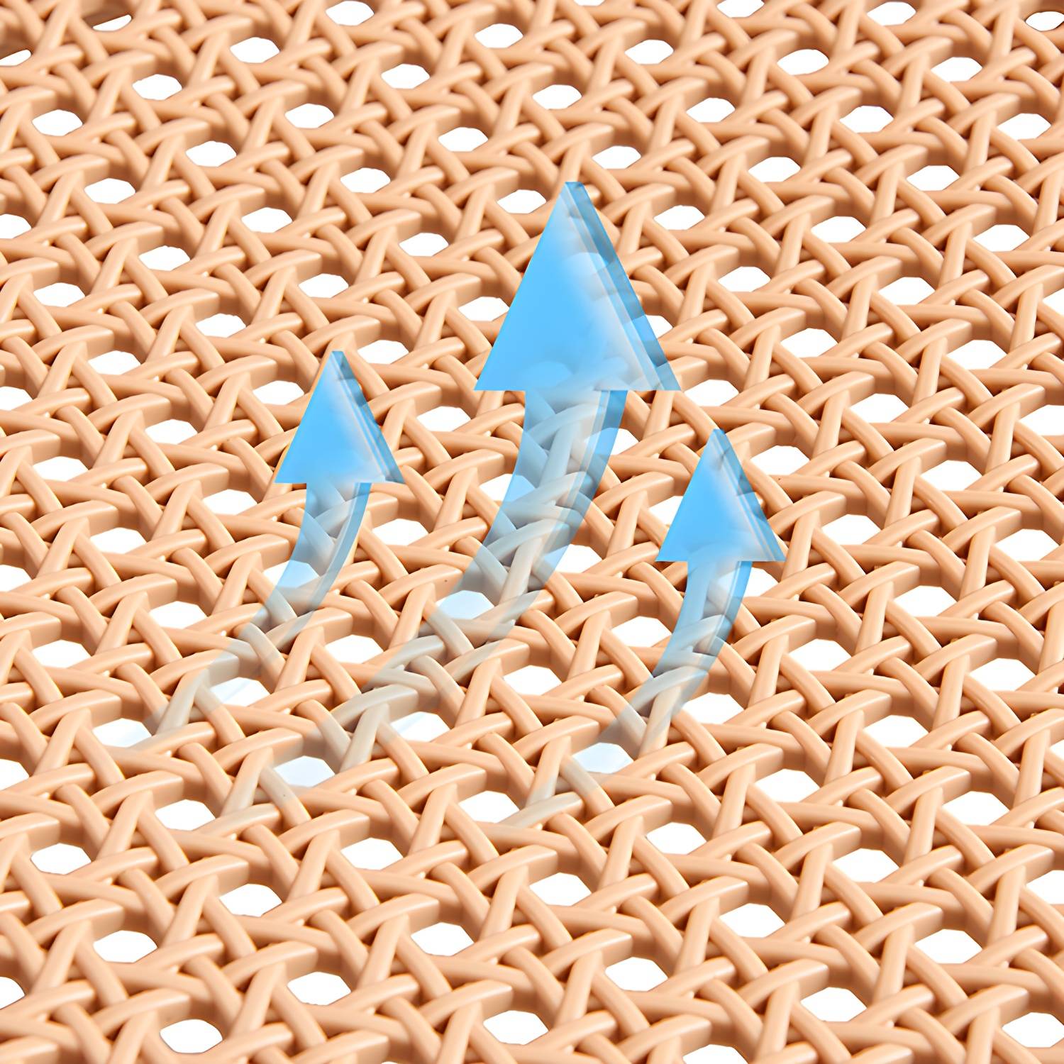 Imported image 81df0310ea56 3825545.jpg