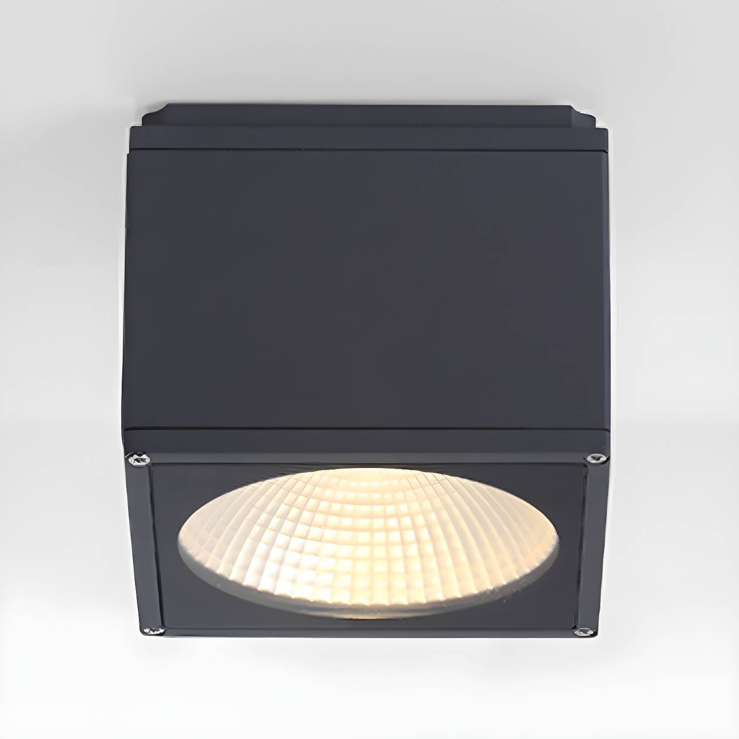 Imported image 32f446e10994 3867132.jpg