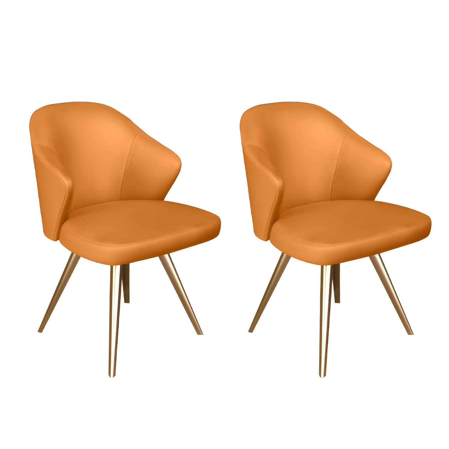 Imported image f5421c1a771b 3871043.jpg