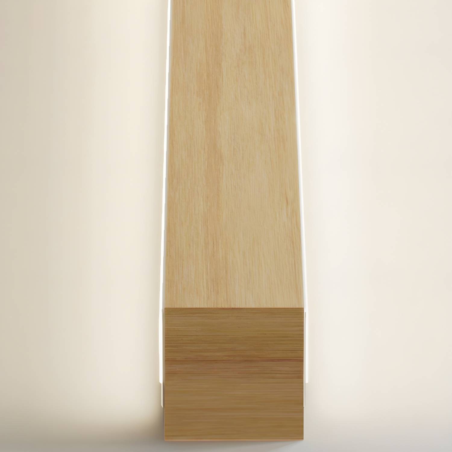 Imported image 6357d1e05354 3874709.jpg