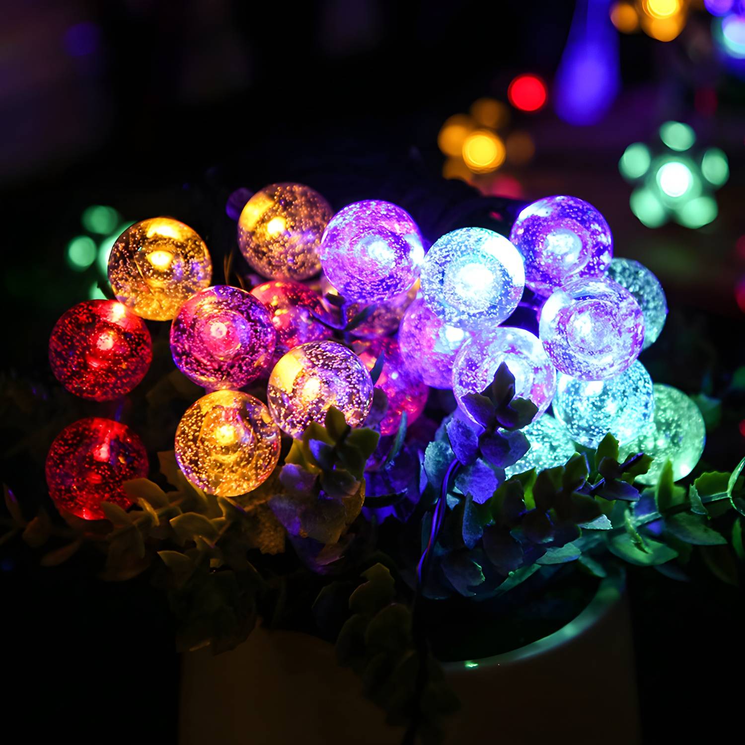 Imported image 774a2cd3be6a 3894425.jpg