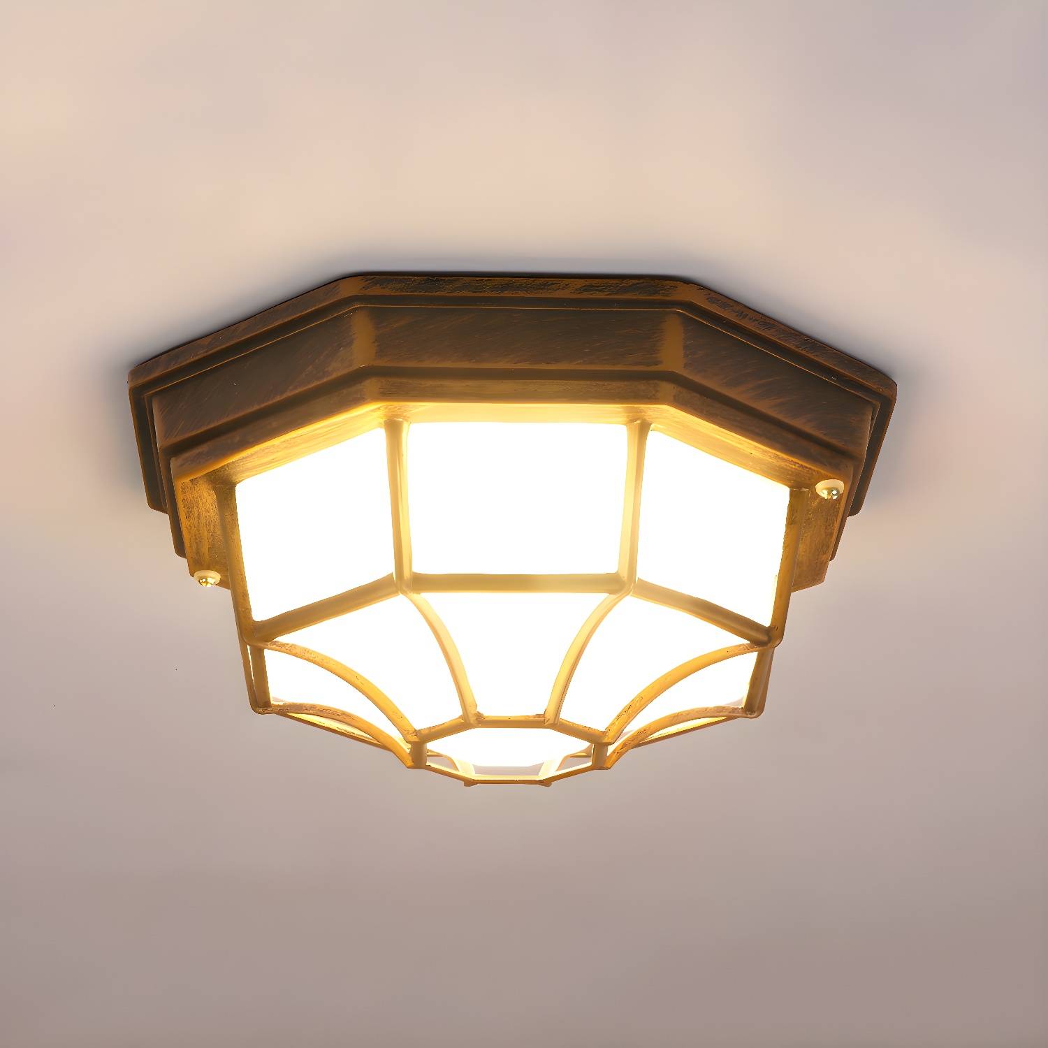 Imported image 49024f20efd9 3897260.jpg