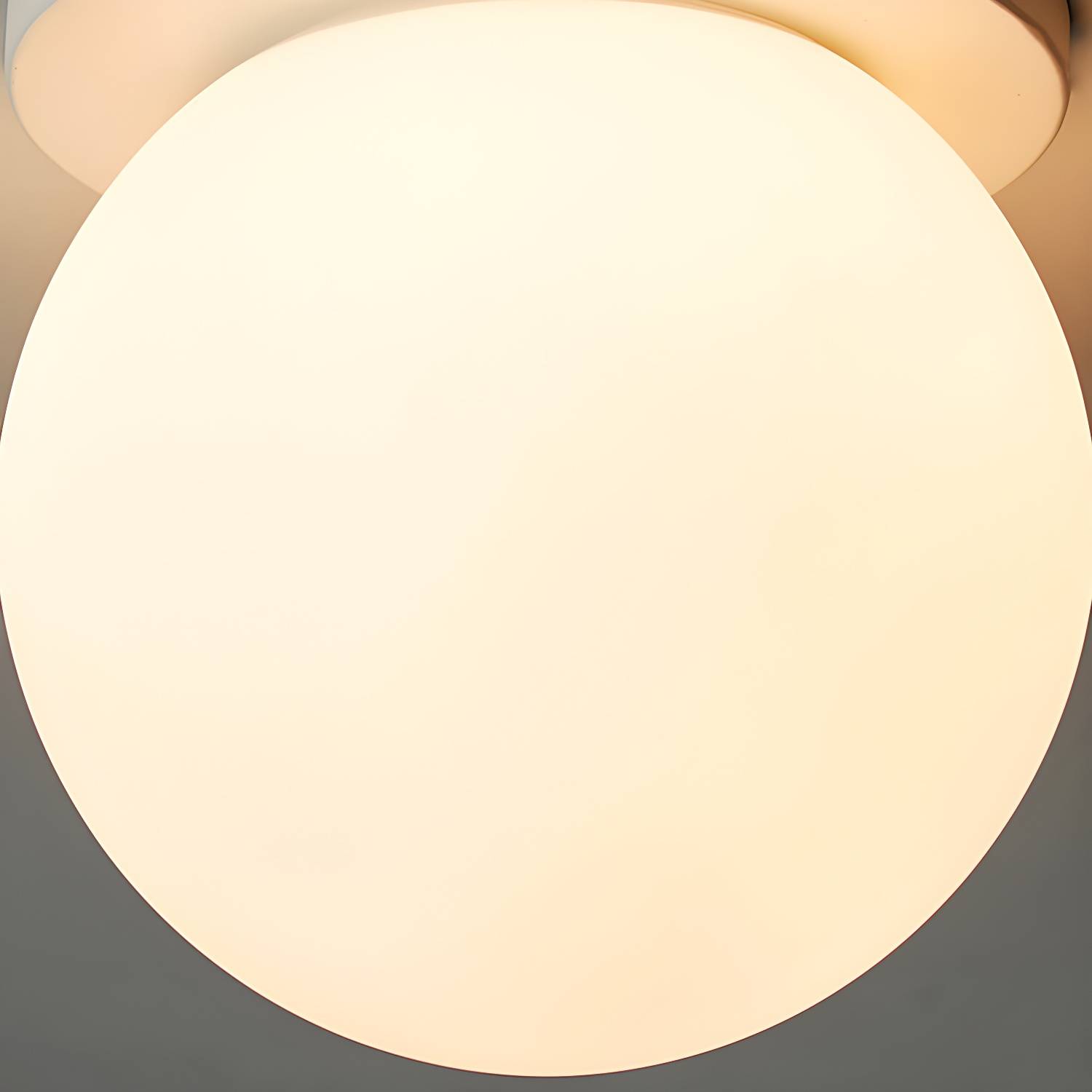 Imported image c8e60458a721 3898652.jpg