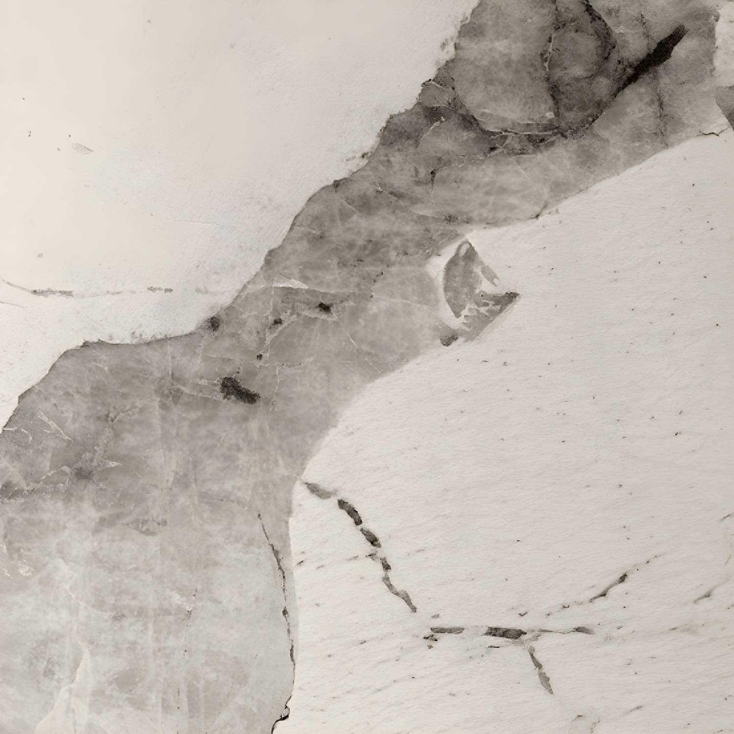 Imported image 11fa2edfcb9b 3901929.jpg