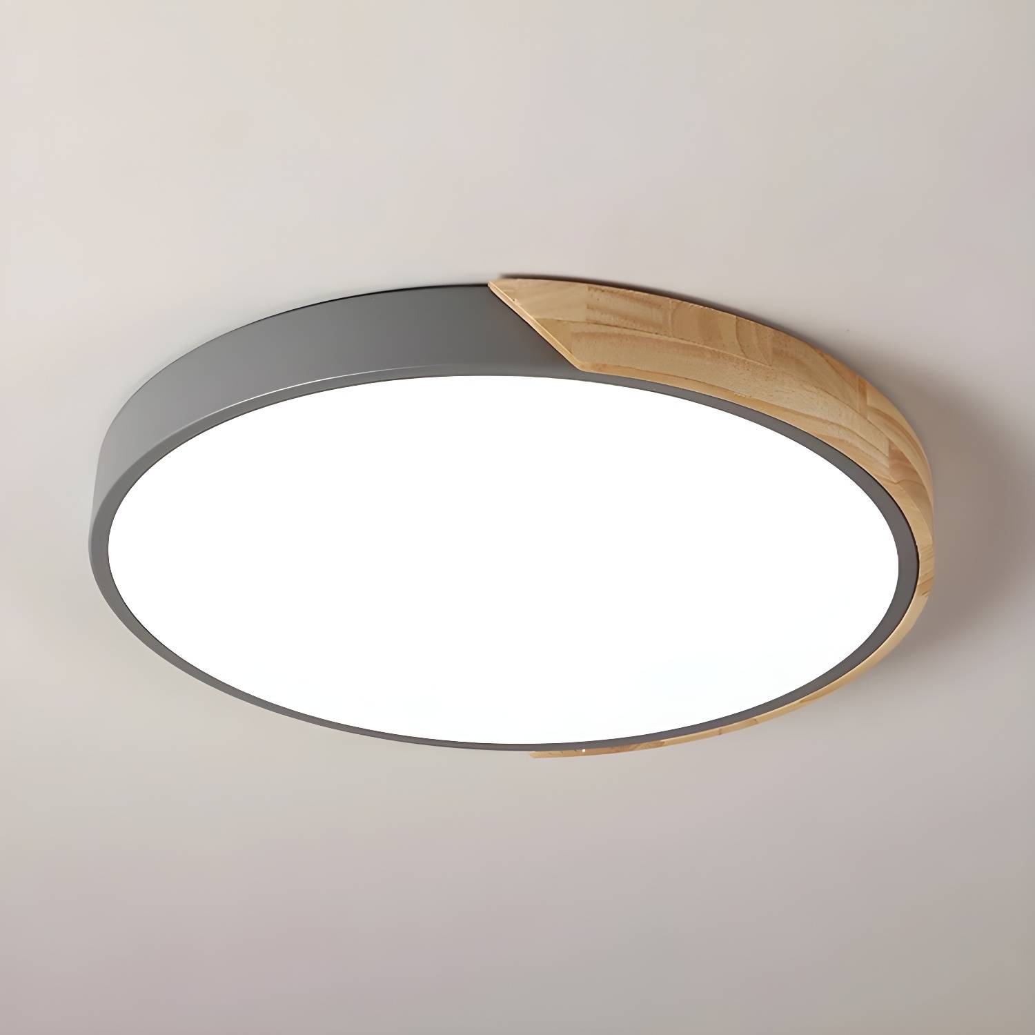 Imported image e364785ef59e 3904975.jpg