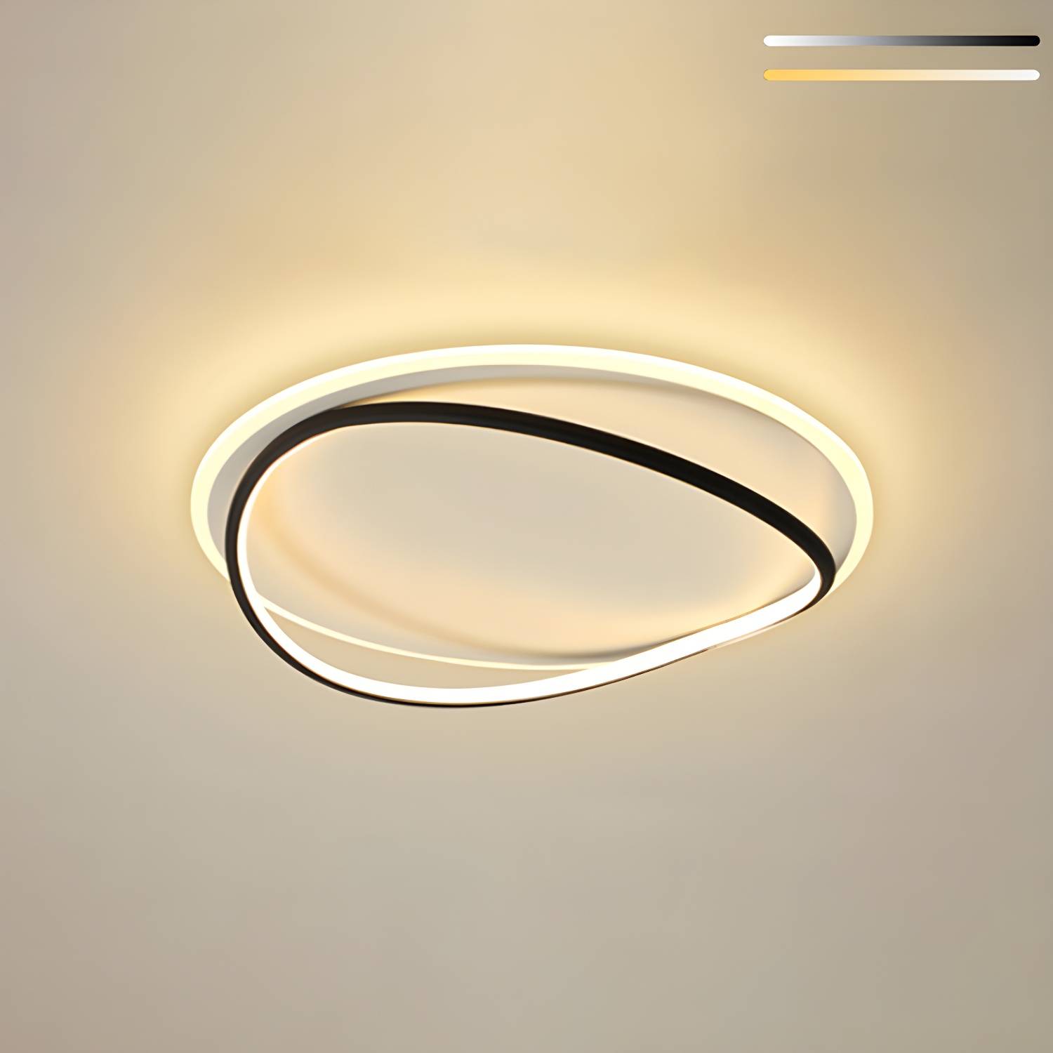 Imported image 32d1dfa00818 3905035.jpg