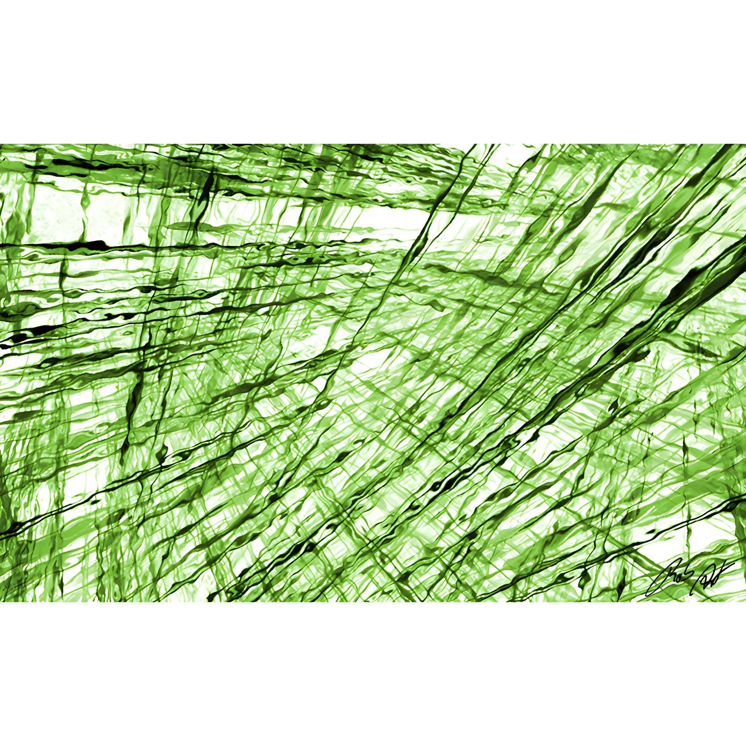 Imported image 880609d2e8df 3912925.jpg