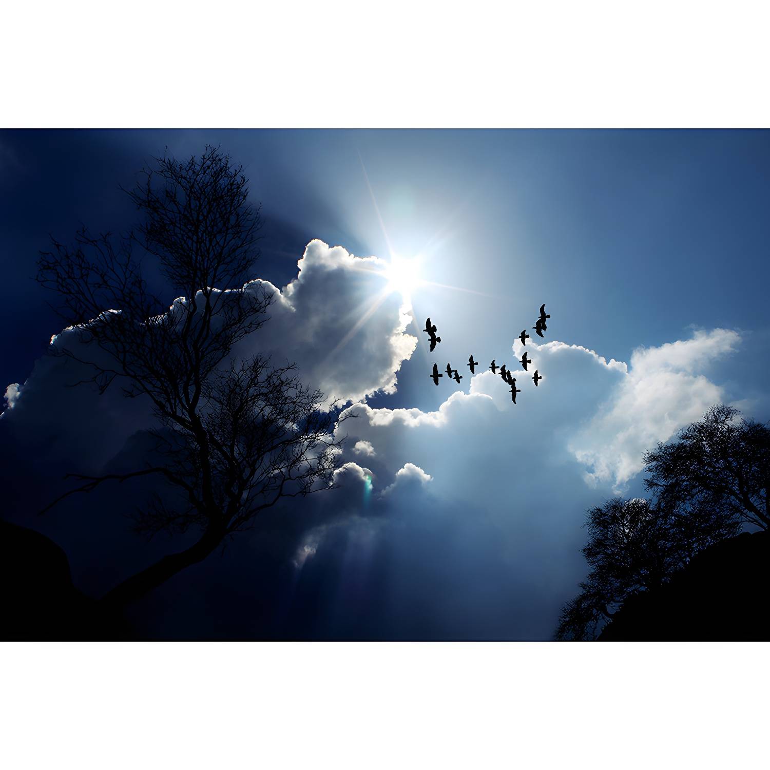 Imported image 37f7e143ecdf 3913178.jpg