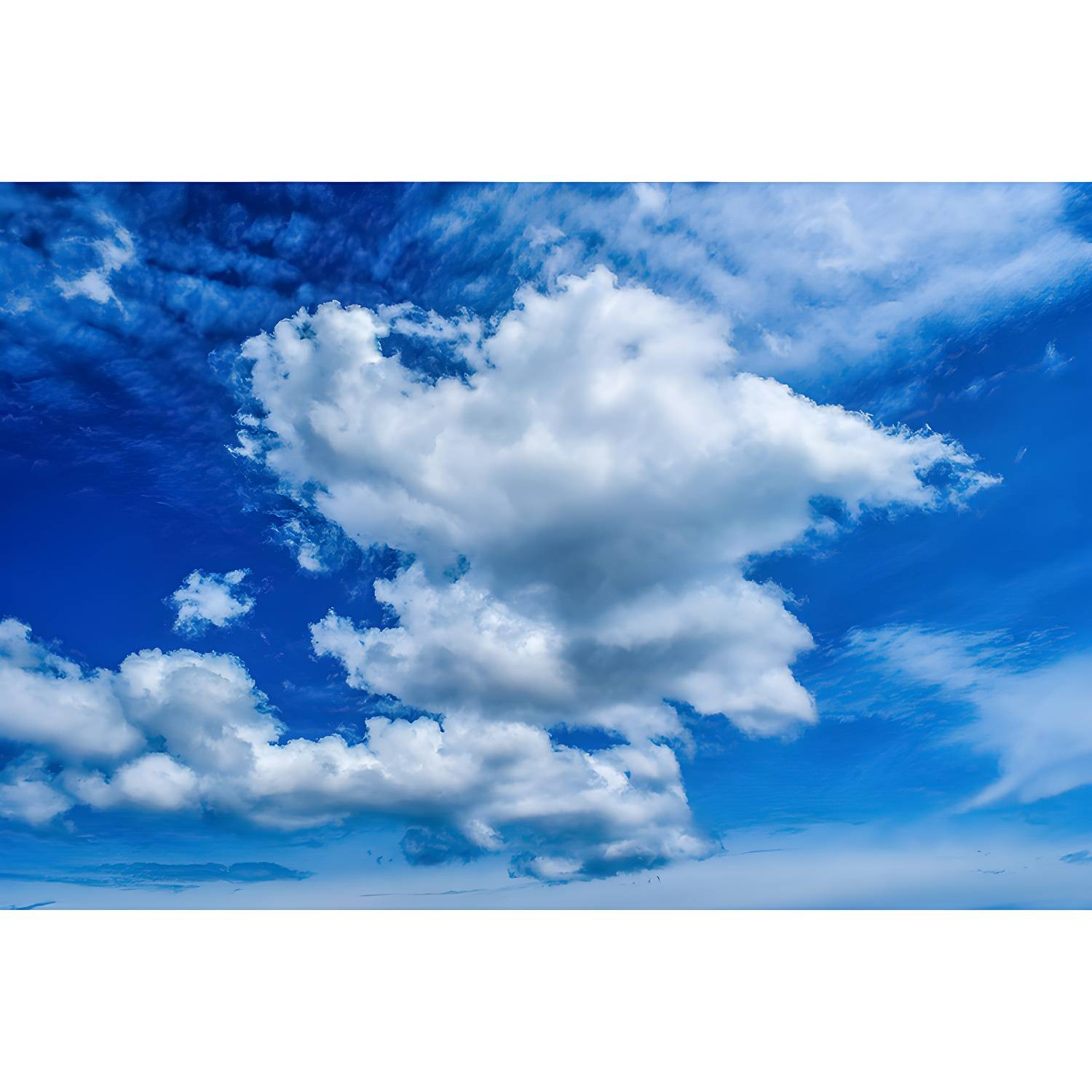 Imported image c178f1d6e227 3913435.jpg