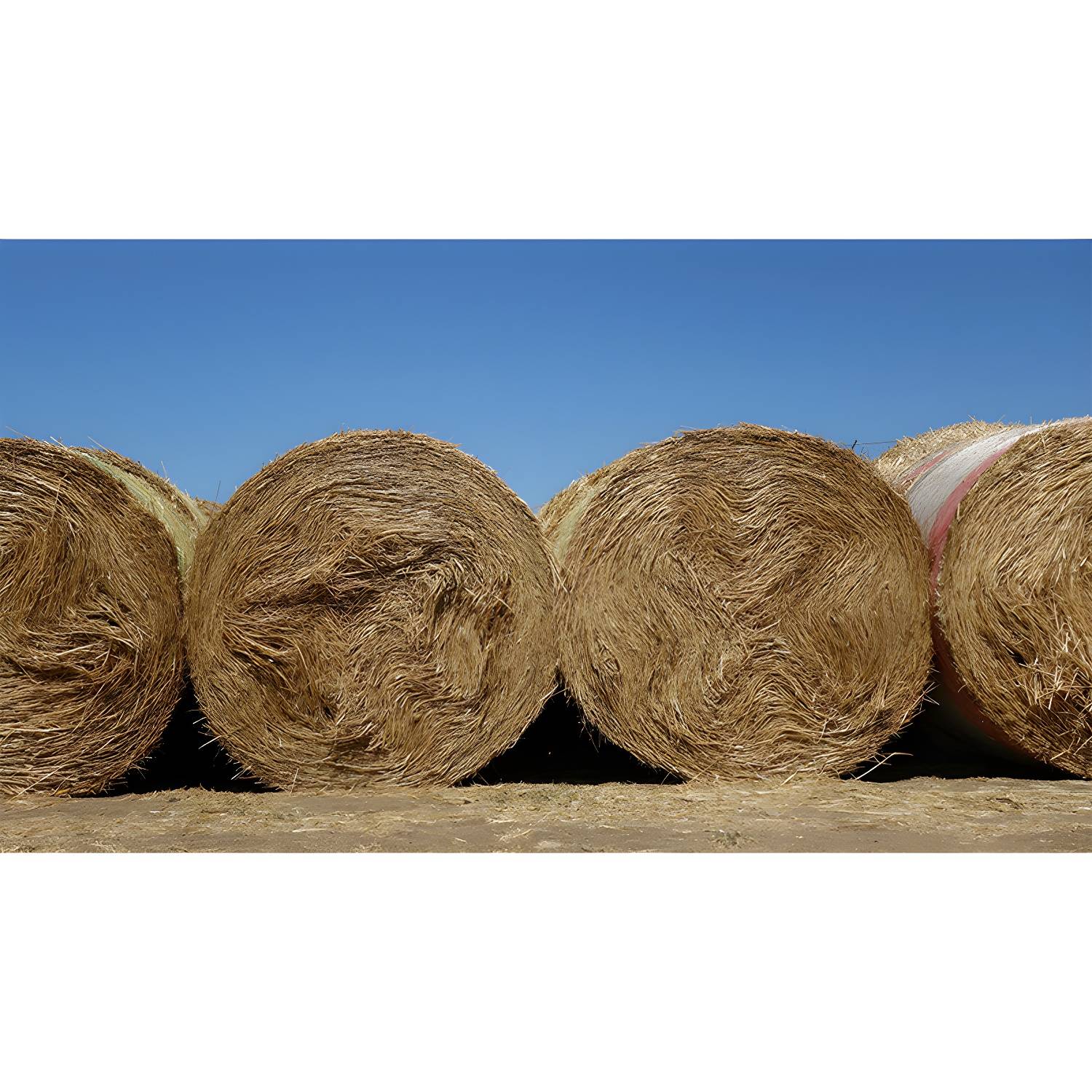 Imported image 64f4c1aa3f57 3939716.jpg