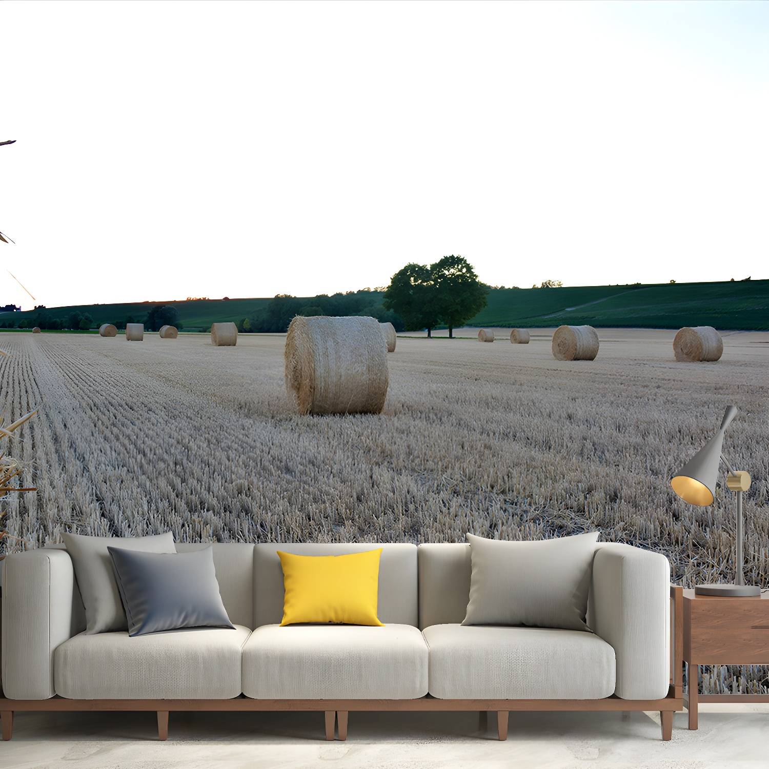 Imported image f907ceee14b2 3939718.jpg
