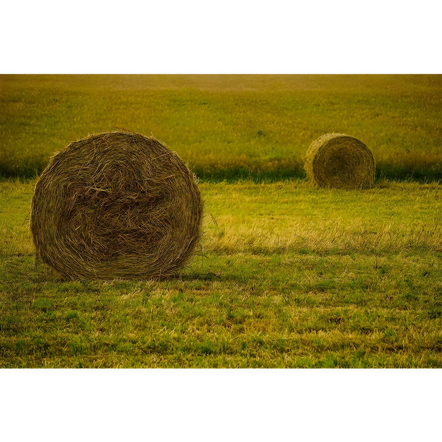Imported image 59ff07341cd1 3939752.jpg