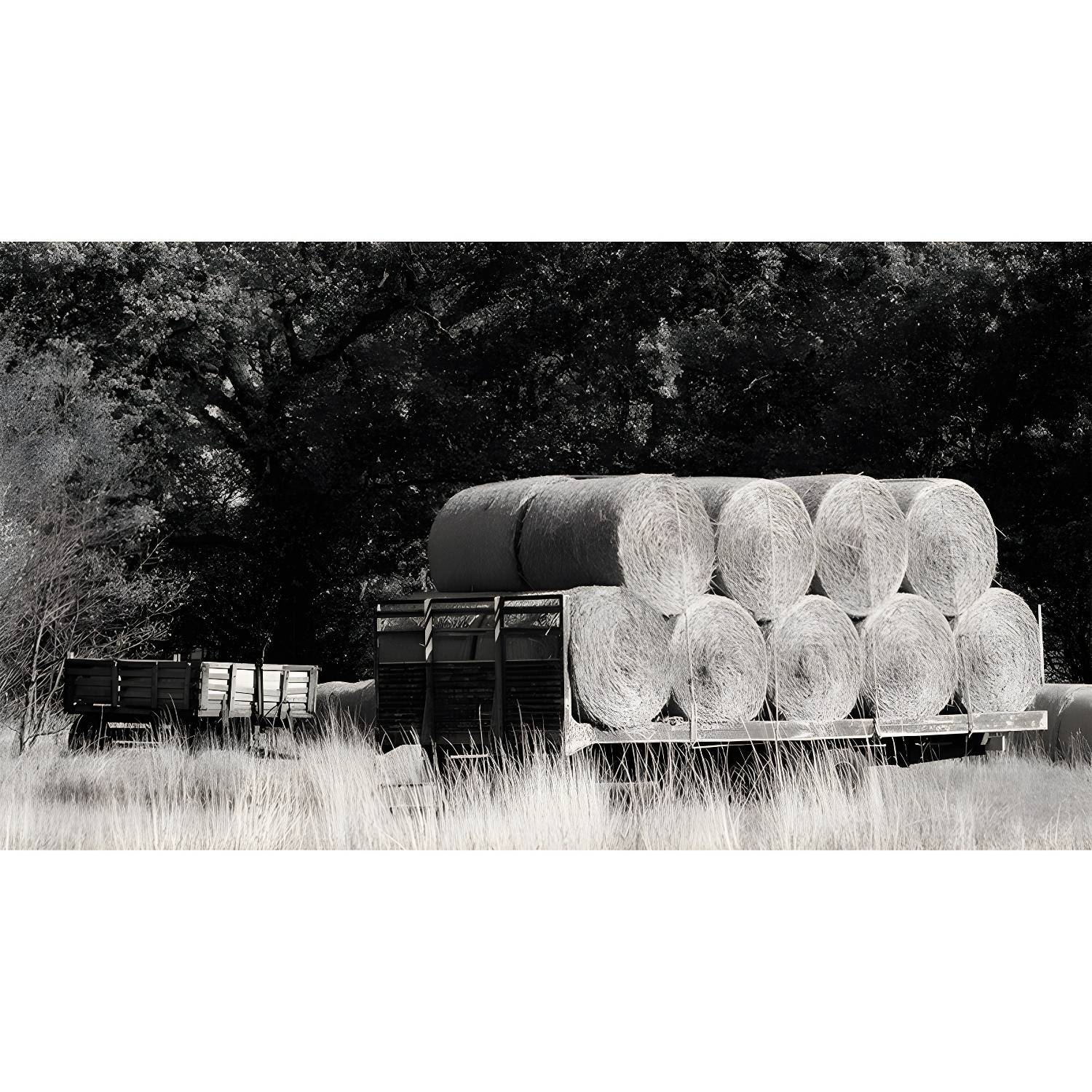 Imported image 01b6572572ab 3939842.jpg