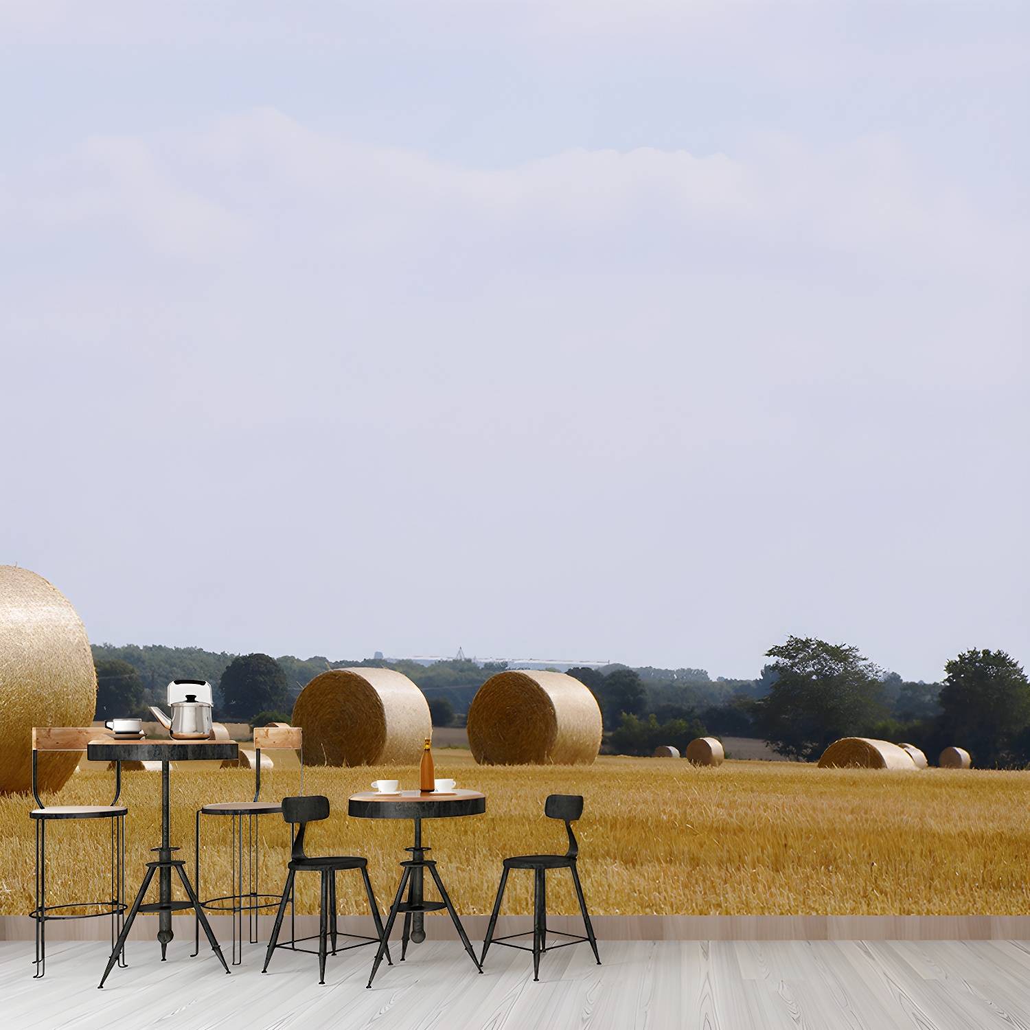 Imported image 3d7a1491f7c0 3939846.jpg