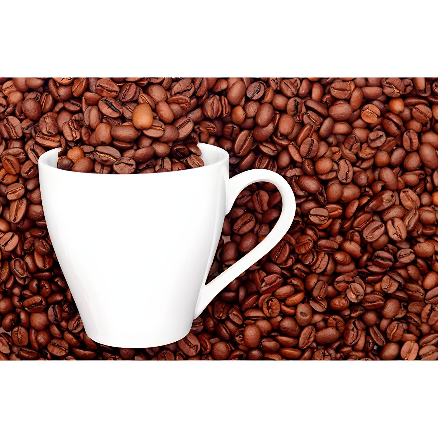 Imported image b6d4a594d949 3940139.jpg