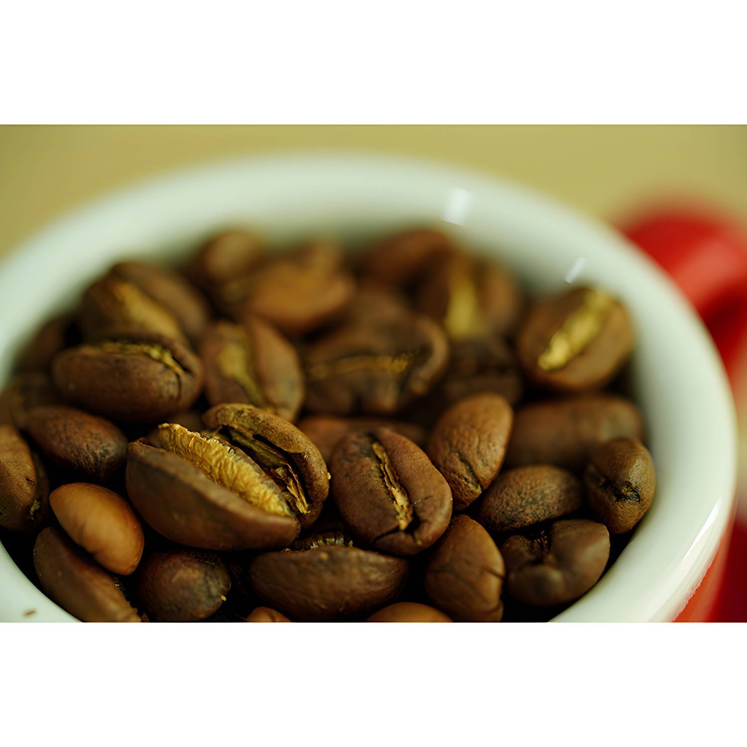 Imported image f24cd308f4ba 3940143.jpg