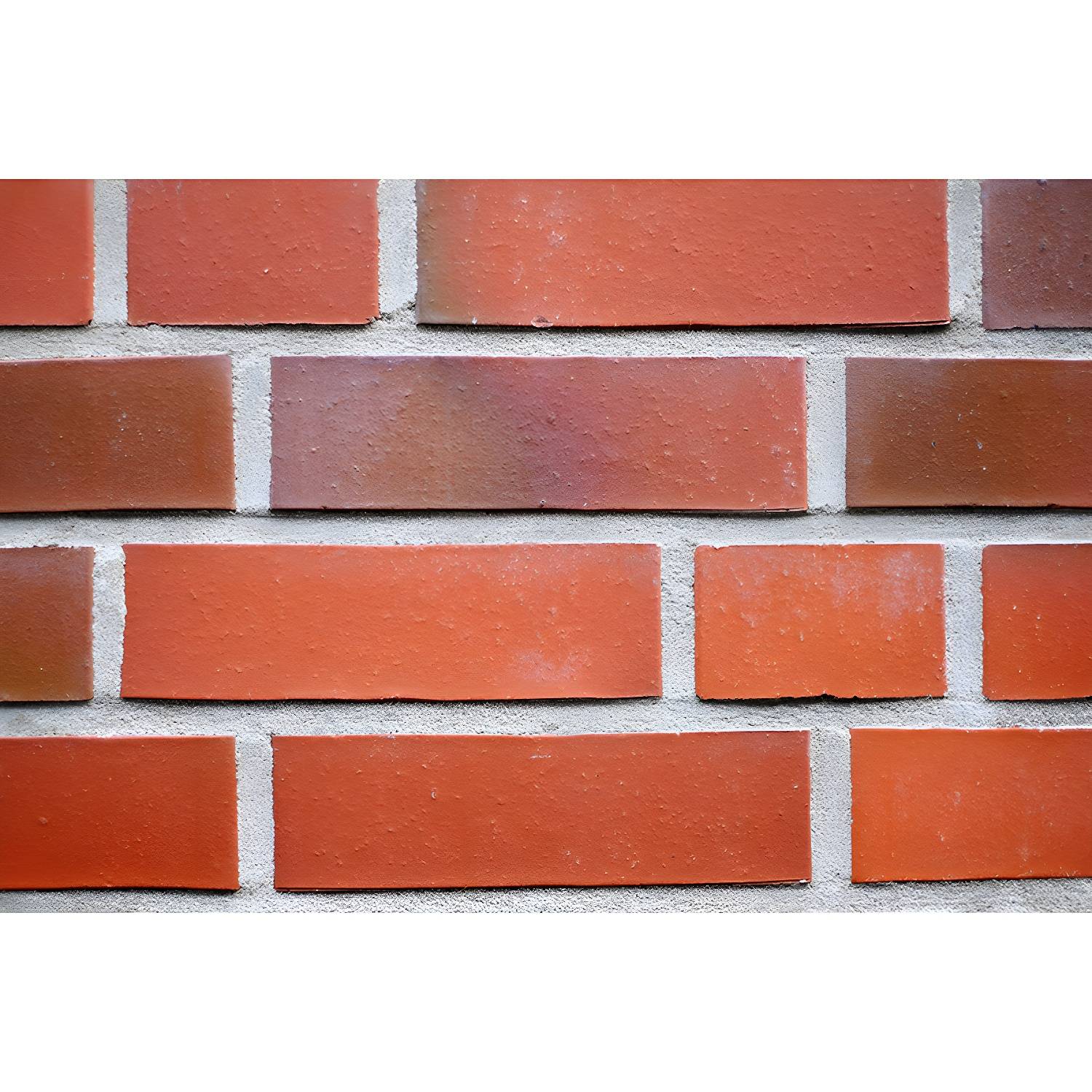Imported image de5966c4f594 3940153.jpg