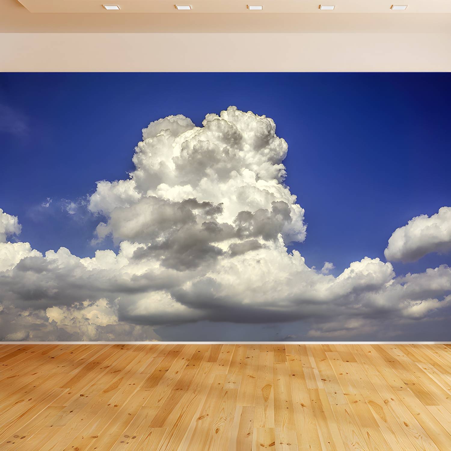 Imported image 650c23abf5a8 3941110.jpg
