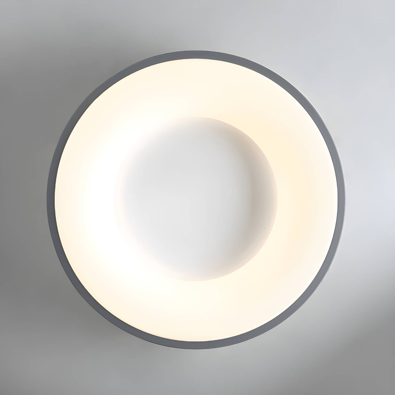 Imported image d0e21d9cd763 3945736.jpg