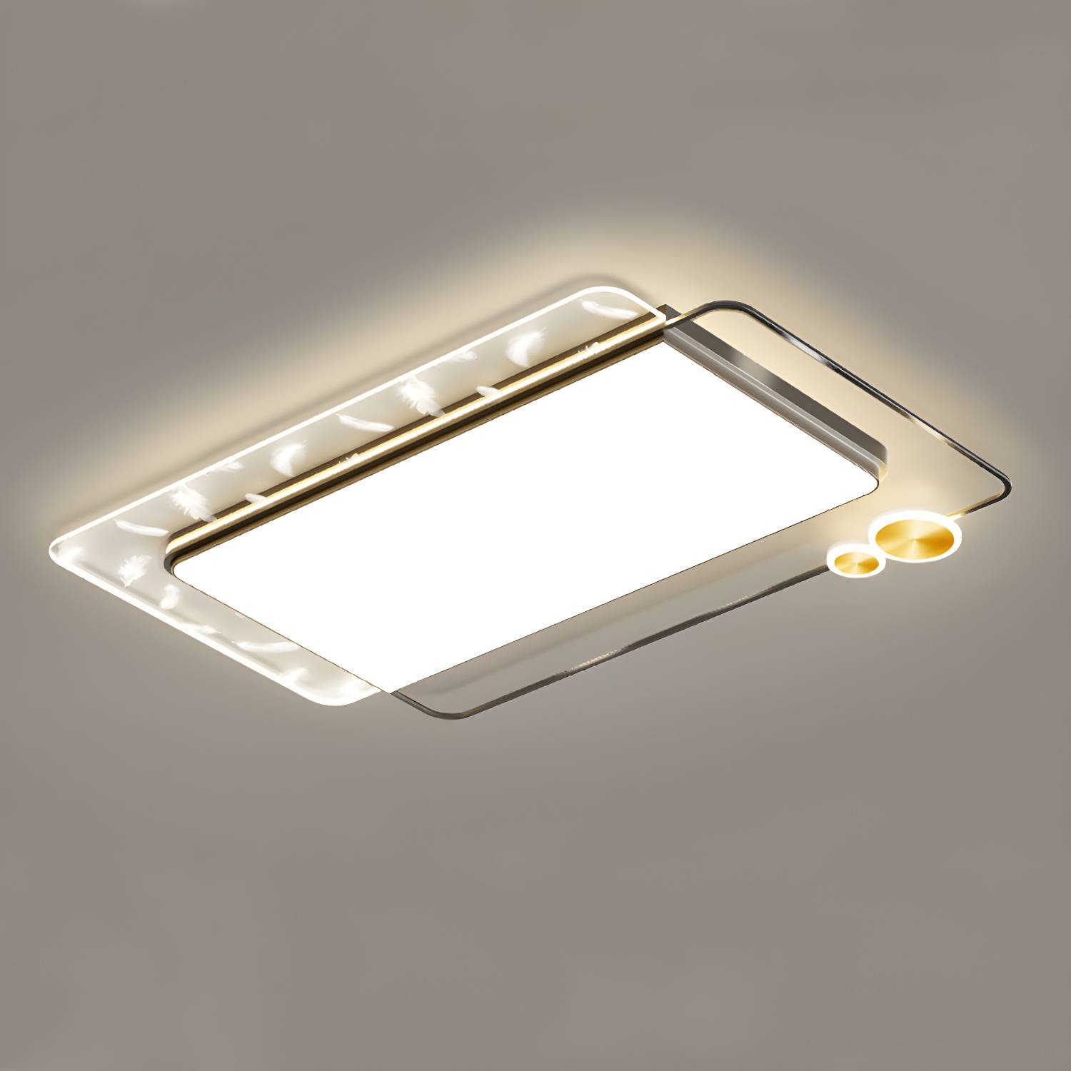 Imported image 691e5ec15f49 3976981.jpg