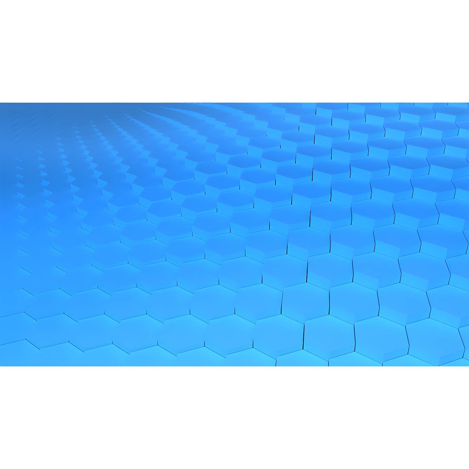 Imported image 163580ba44f0 3982039.jpg