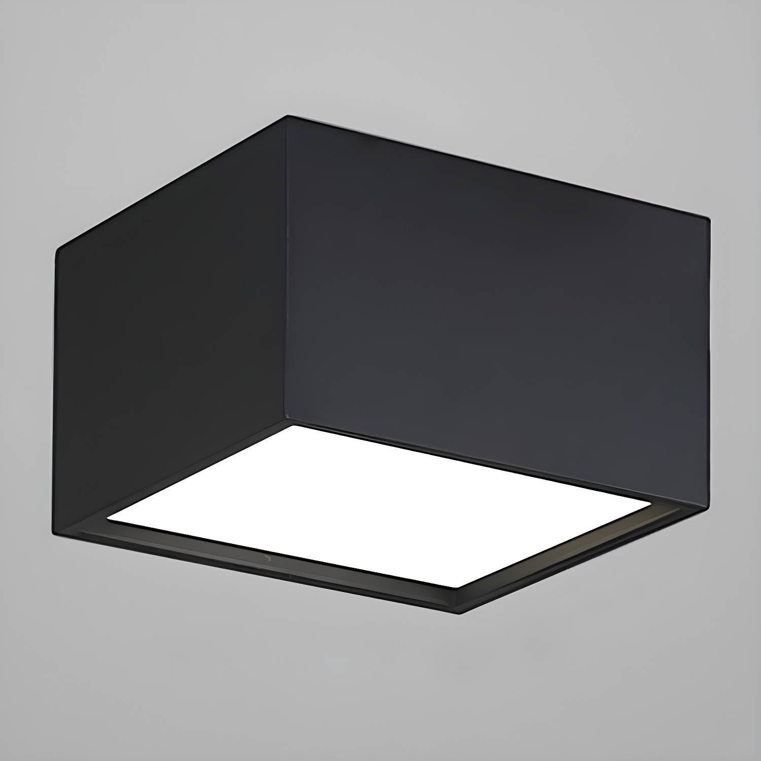 Imported image e9075c0bf88e 3983367.jpg