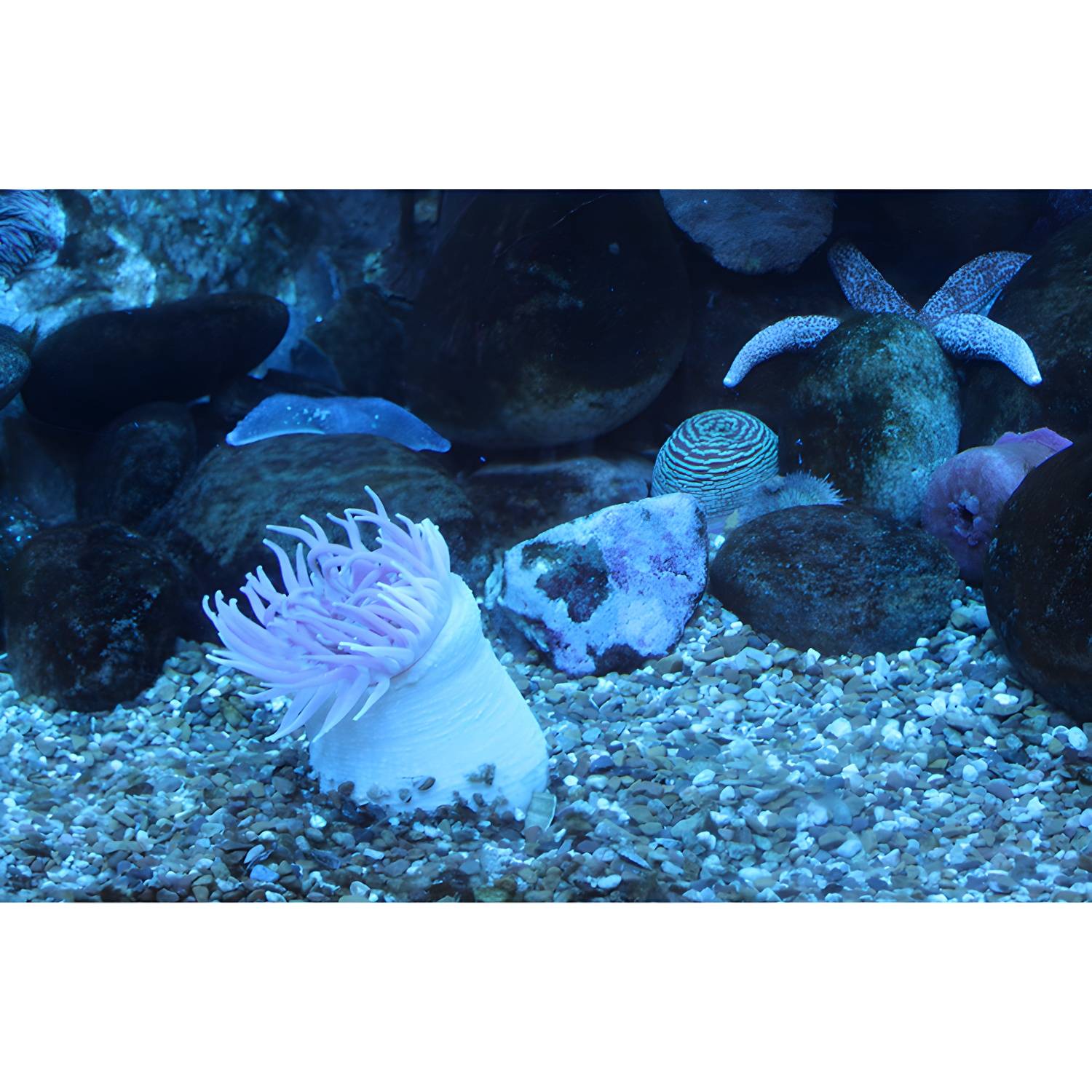 Imported image 8e5a1b3ddffc 3991453.jpg