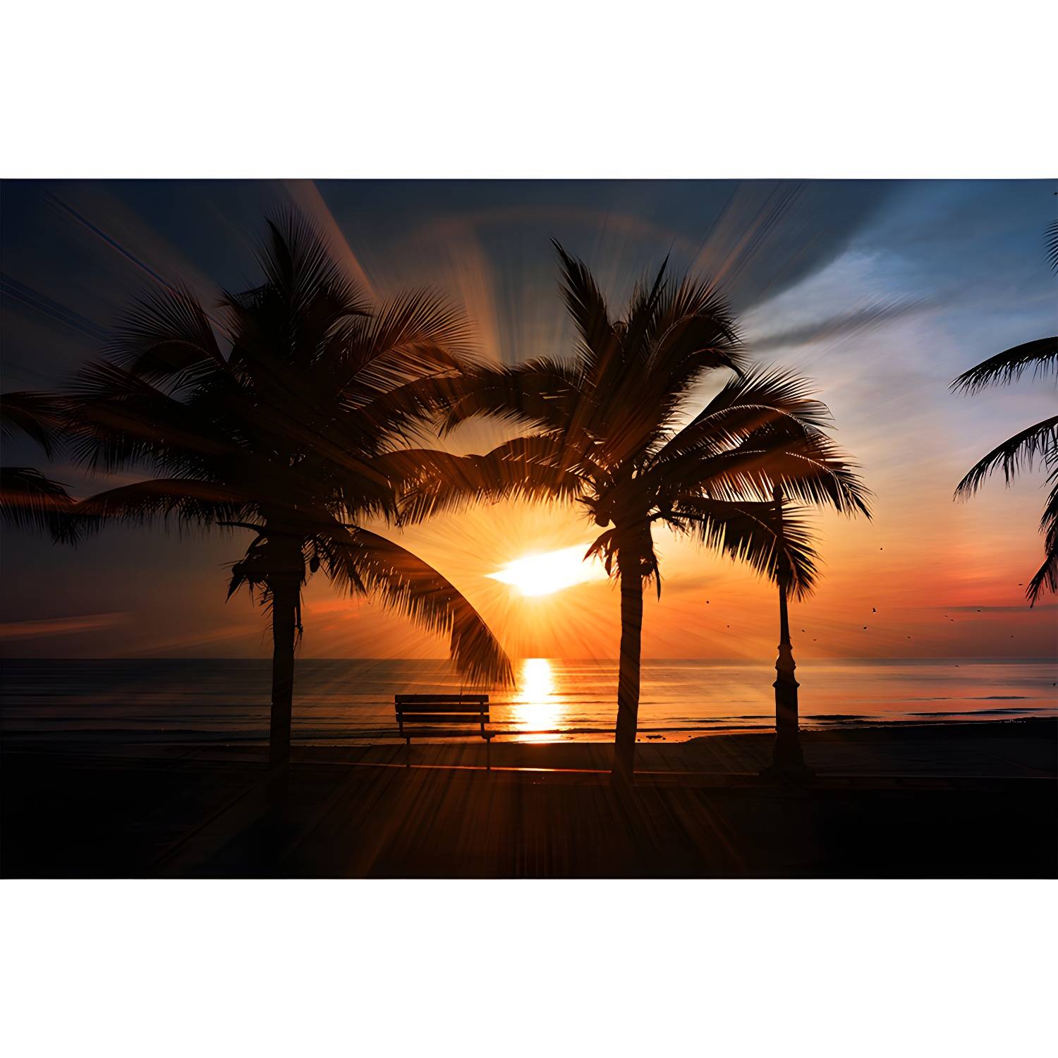 Imported image c55a51eb11af 3992156.jpg