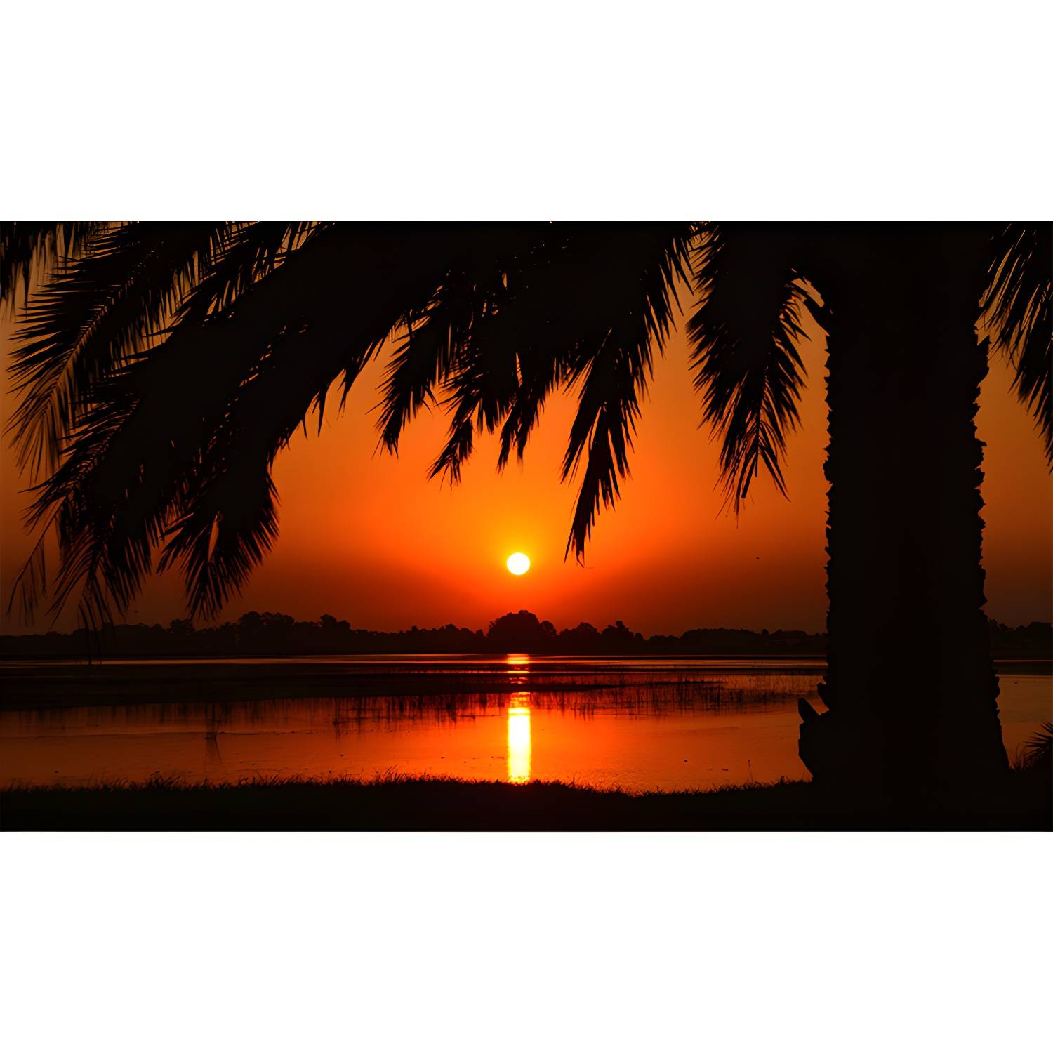 Imported image 11807aee919c 3992169.jpg