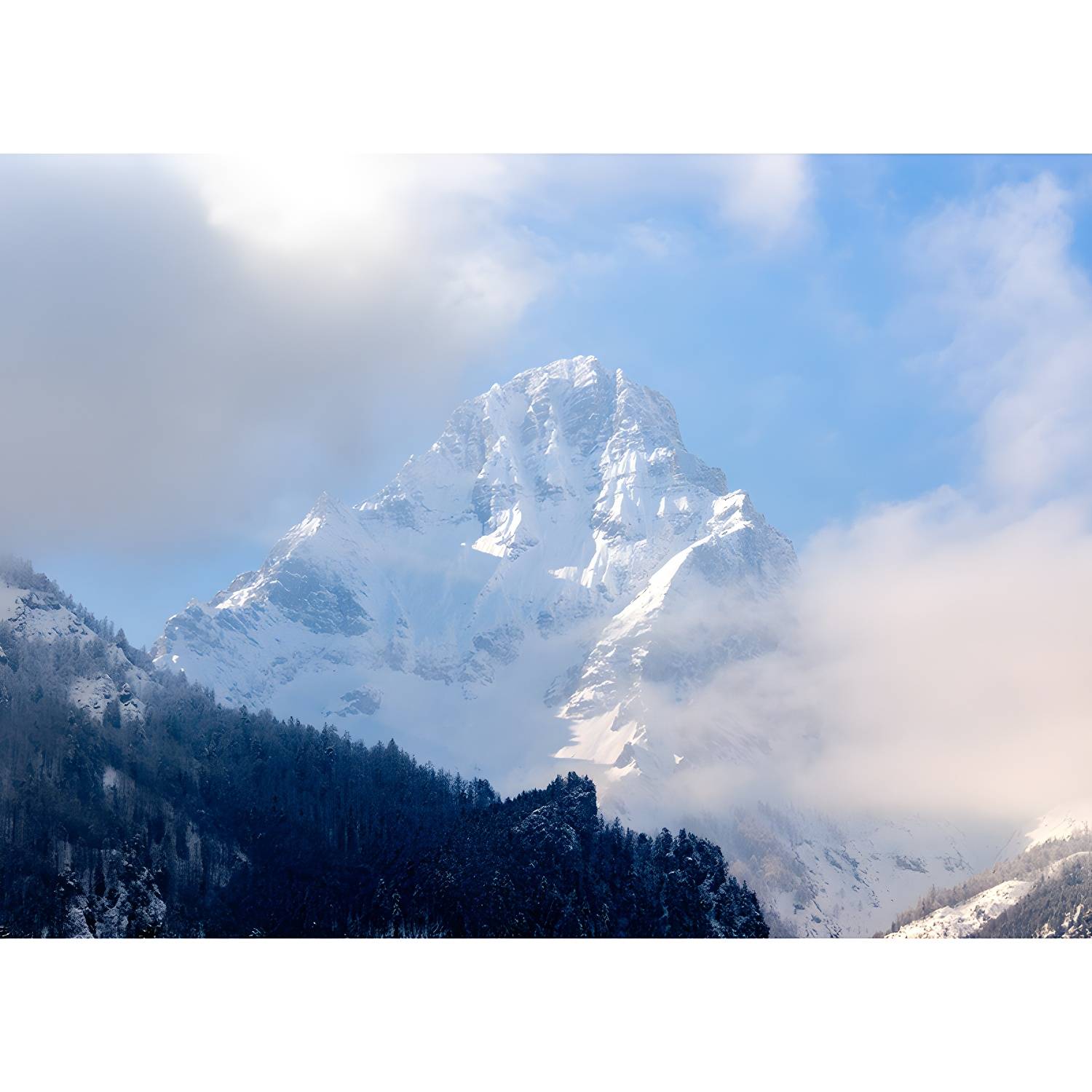 Imported image cc466ea27416 3992739.jpg