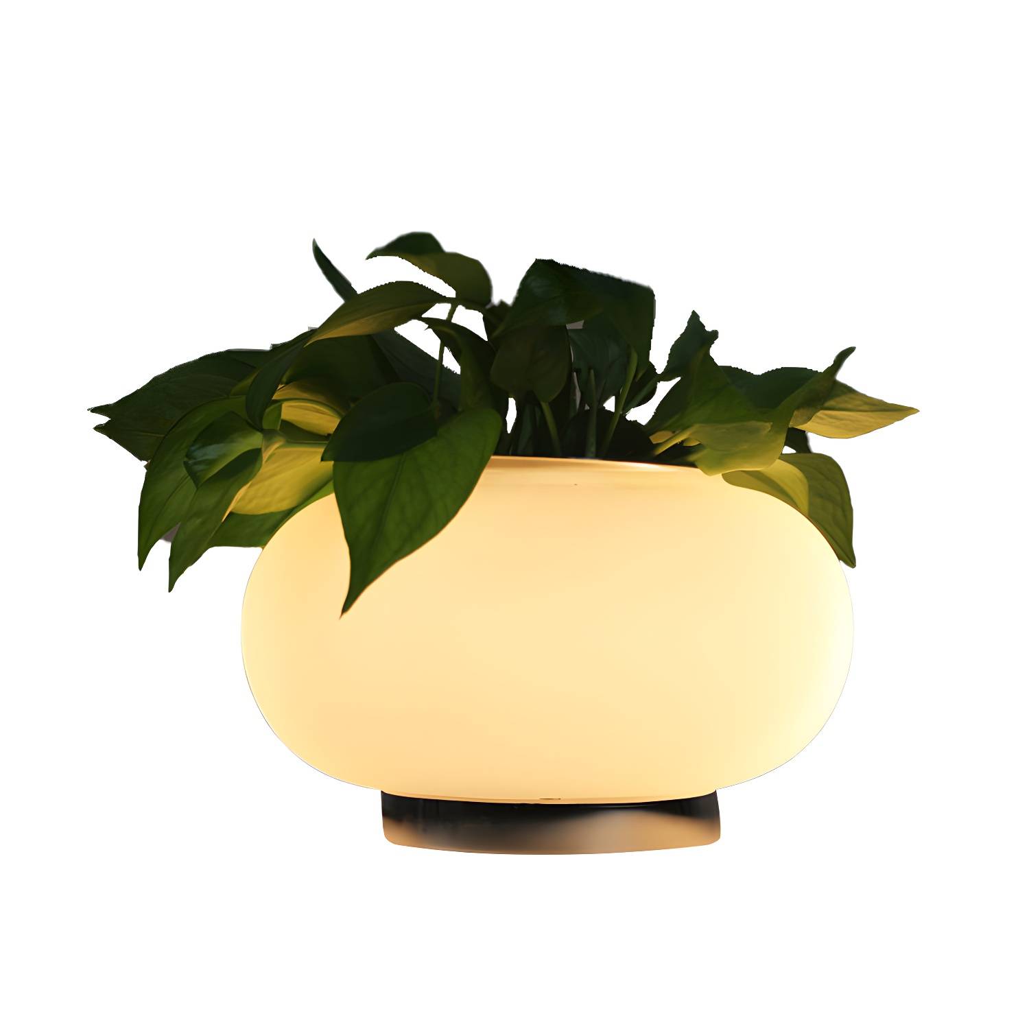 Imported image ae43d03c95c3 401267.jpg