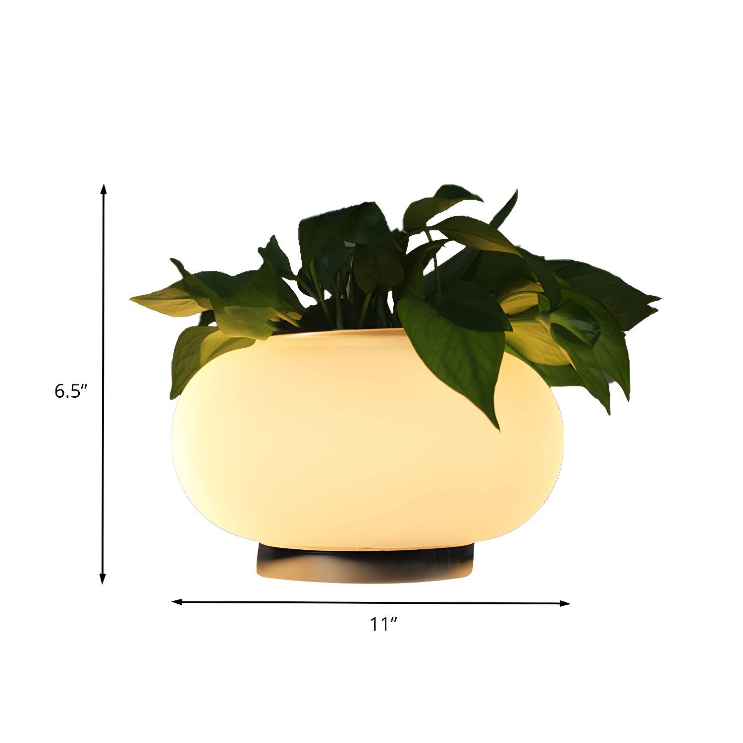 Imported image ac0ce1b909ba 401269.jpg
