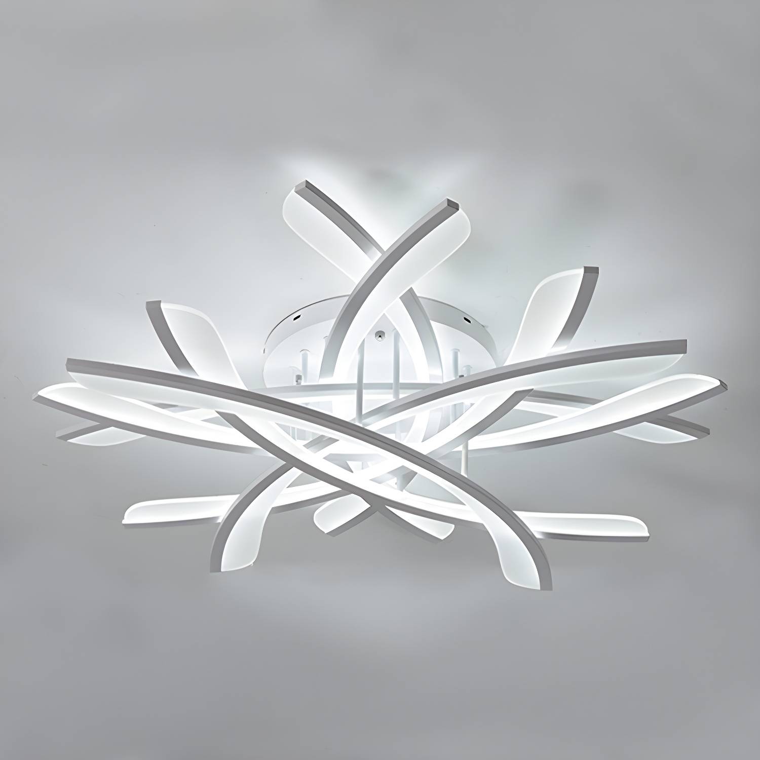 Imported image 29a04ea03c9d 4045798.jpg